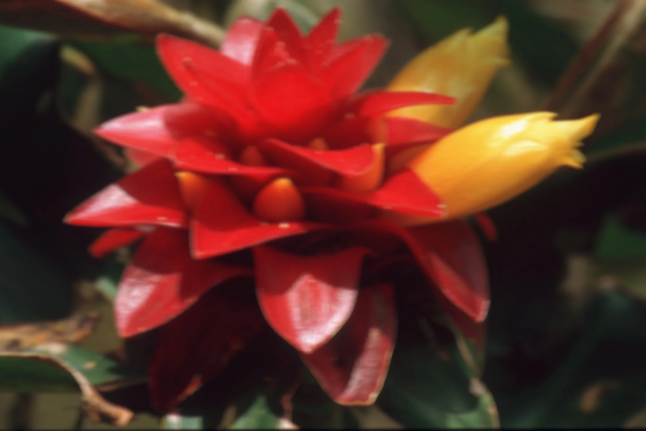 Bilder Andi Refugio 074.jpg