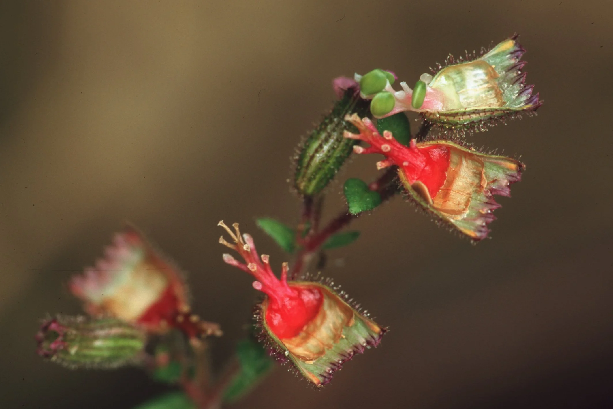 Bilder Andi Refugio 064.jpg