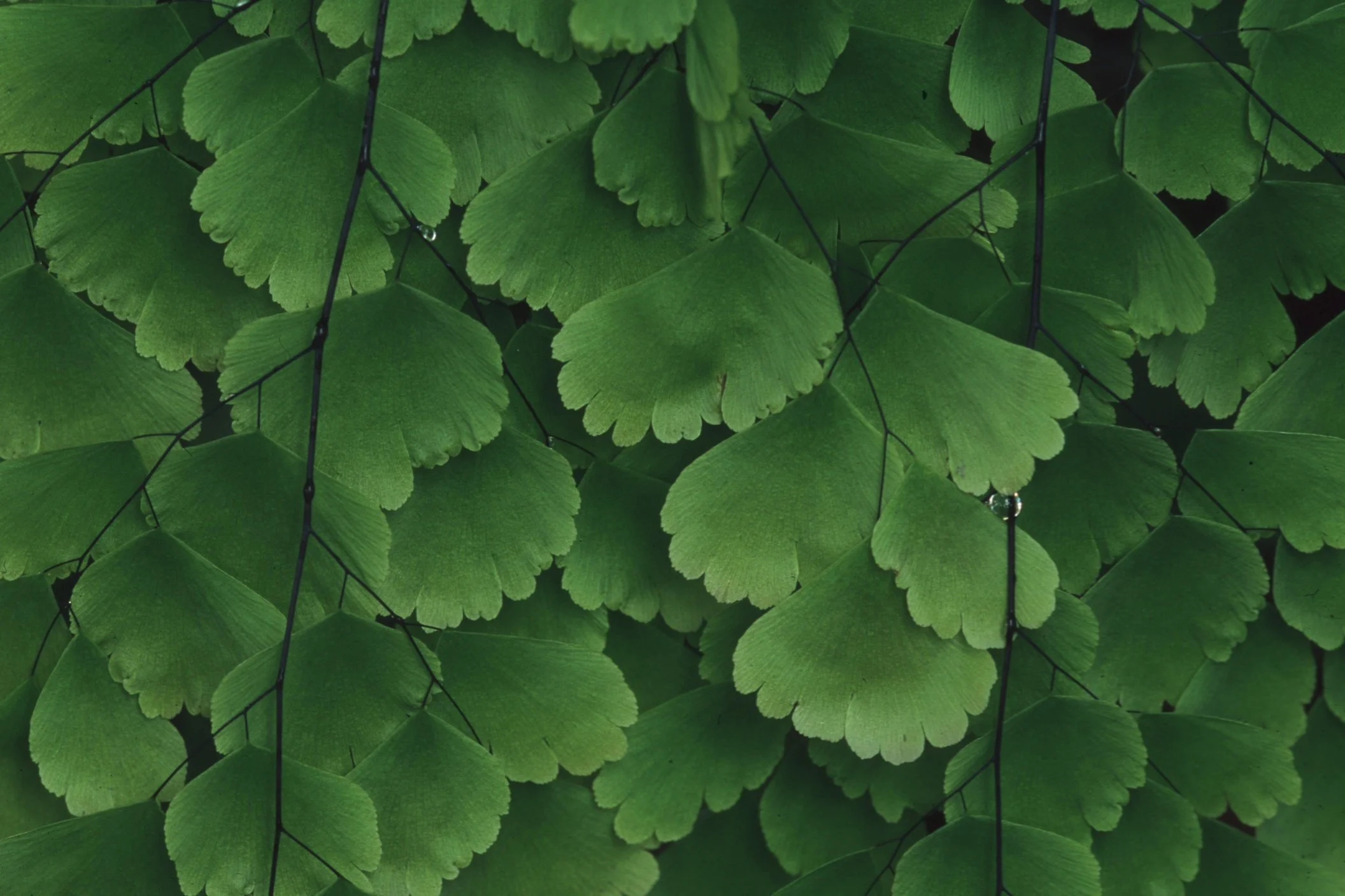 Bilder Andi Refugio 043.jpg