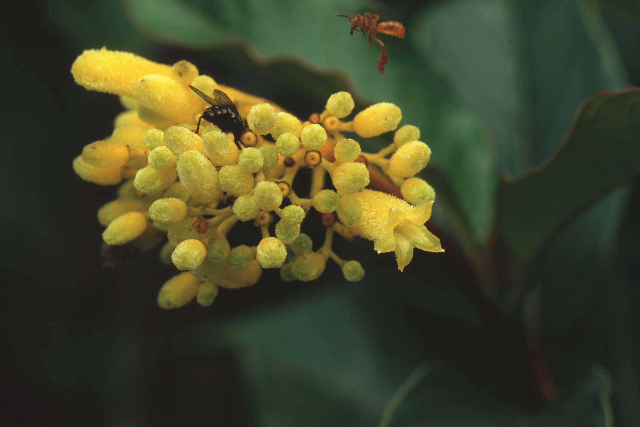 Bilder Andi Refugio 059.jpg