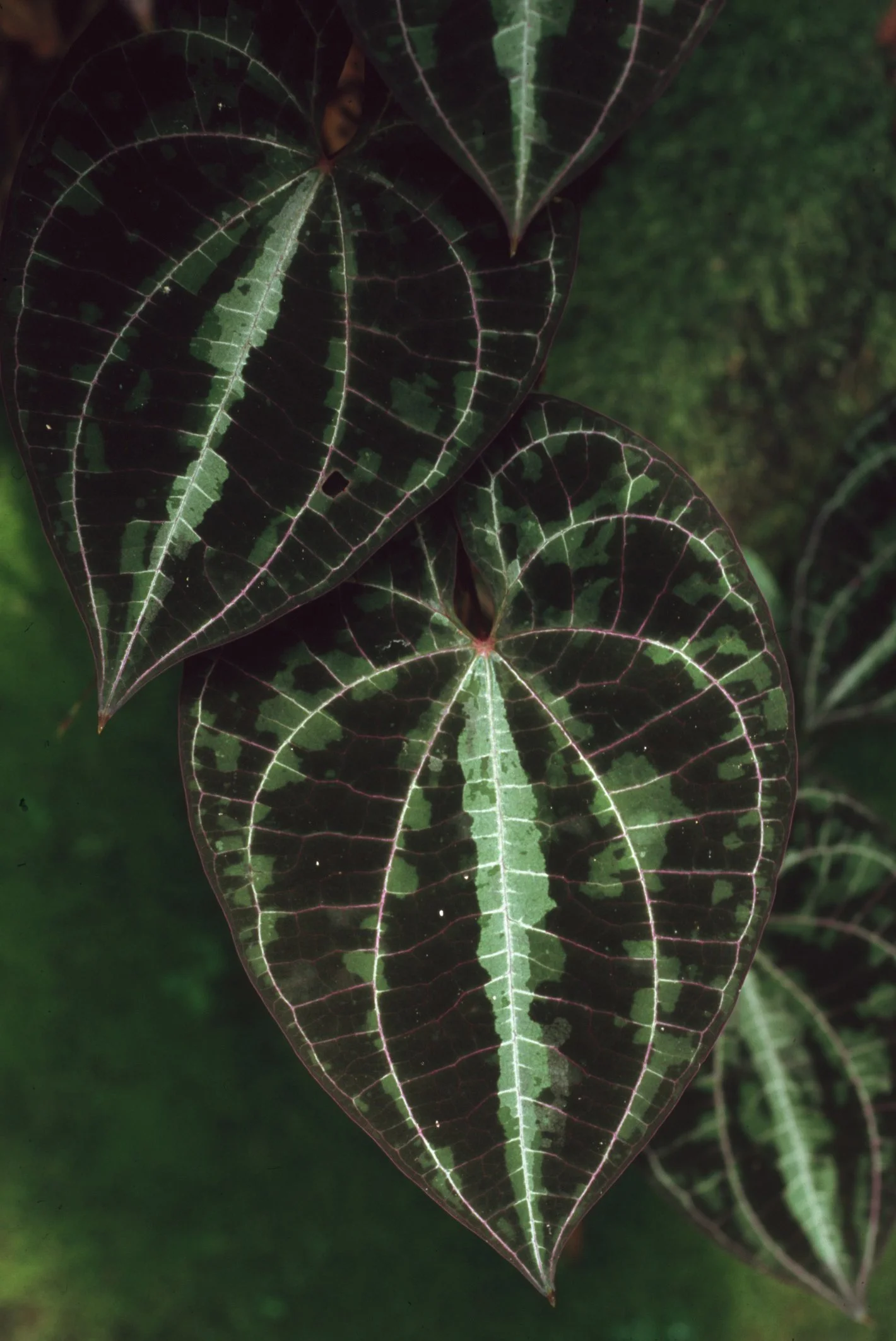 Bilder Andi Refugio 044.jpg