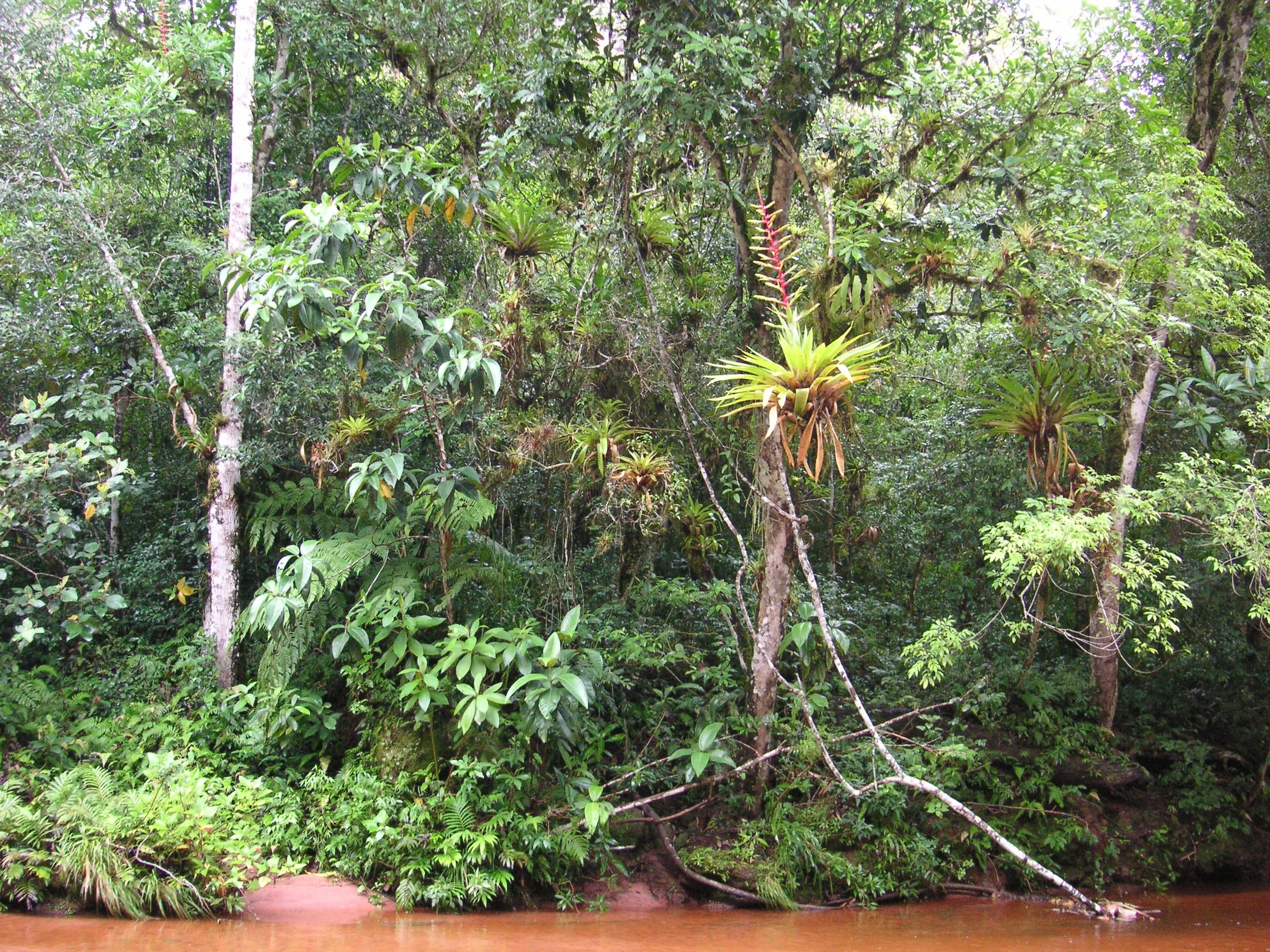 Reptilien Martin Jansen Bermejo 054.jpg