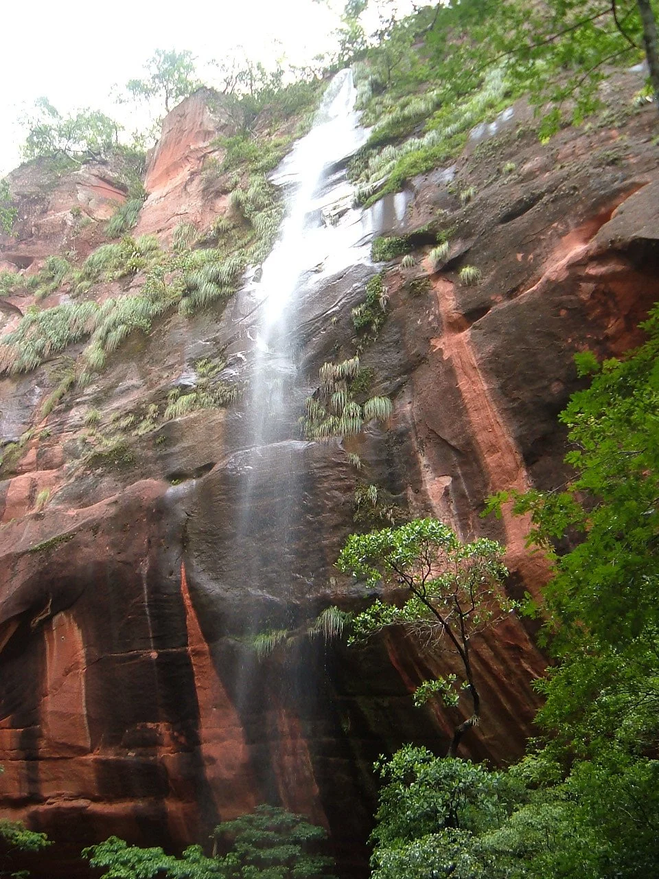Ein Wasserfall fließt an einer senkrechten Felswand mit rot-braunen Farbtönen. Es gibt grüne Bäume und Pflanzen im Vordergrund und am Felsen.
