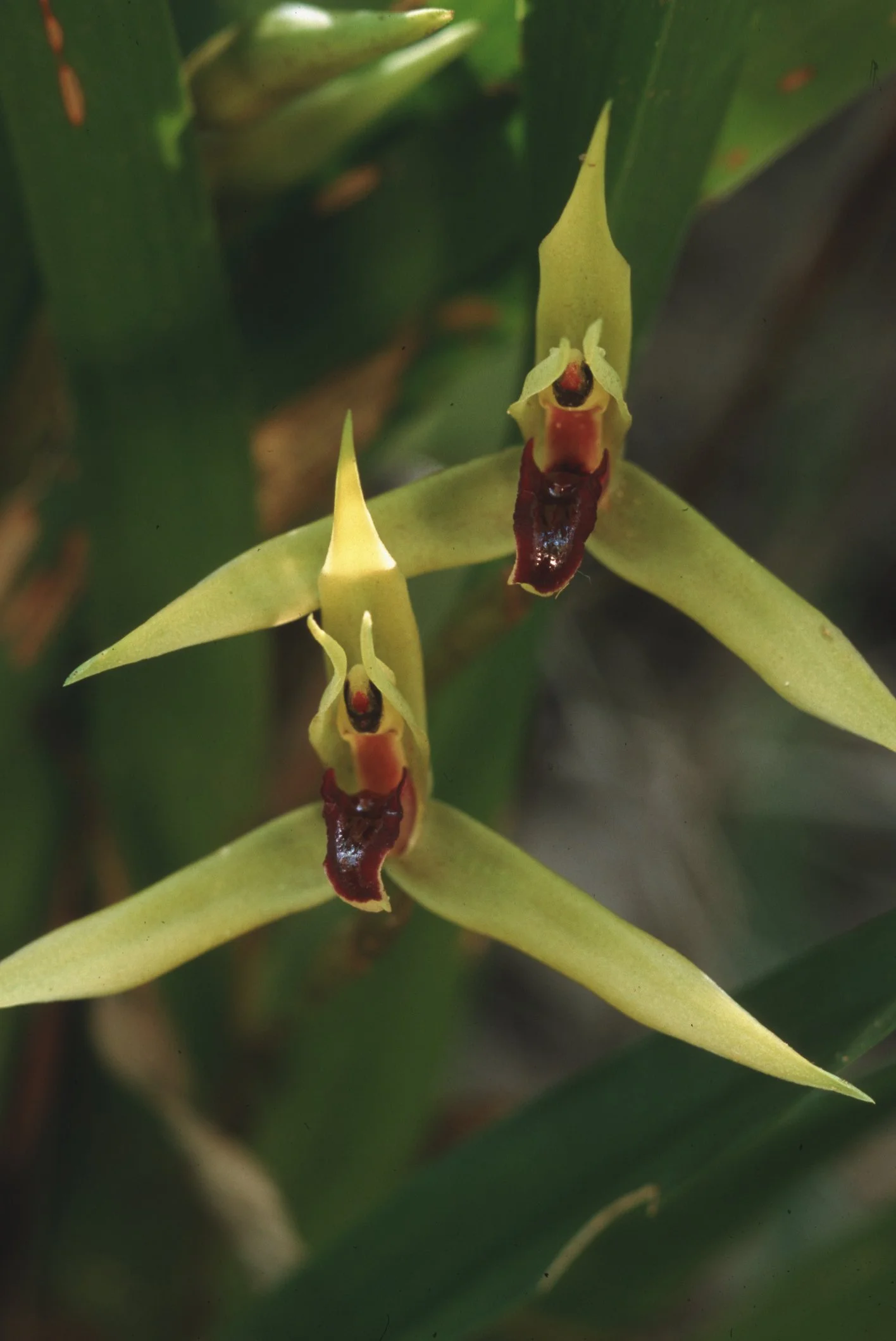 Bilder Andi Refugio 063.jpg