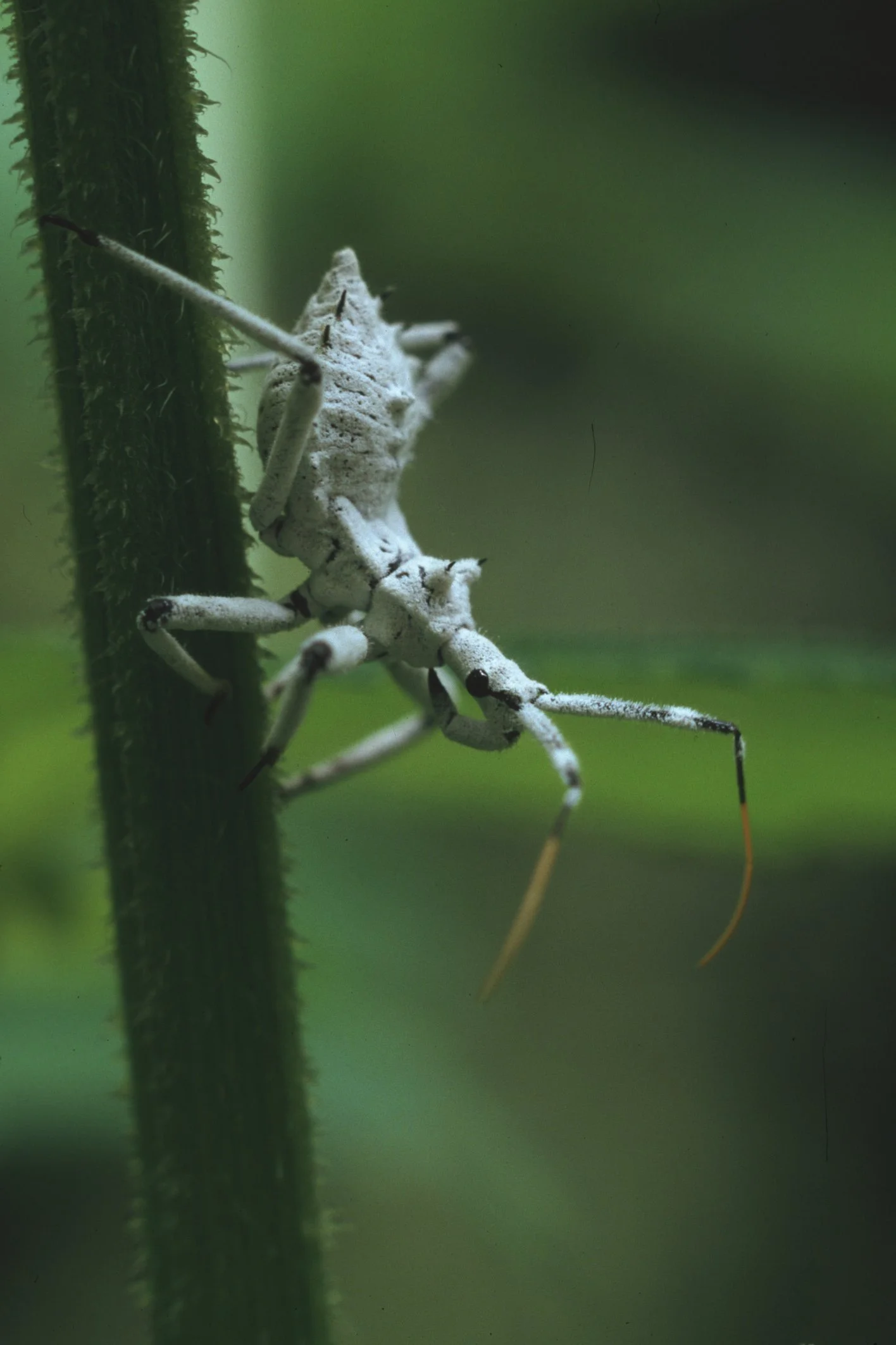 Bilder Andi Refugio 014.jpg