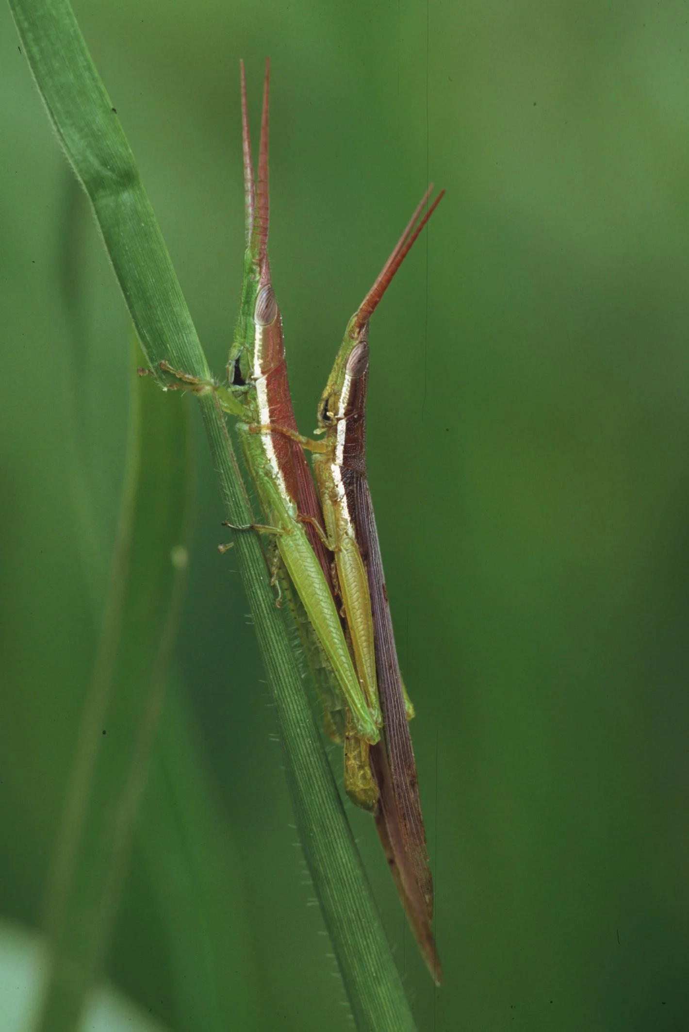 Bilder Andi Refugio 017.jpg