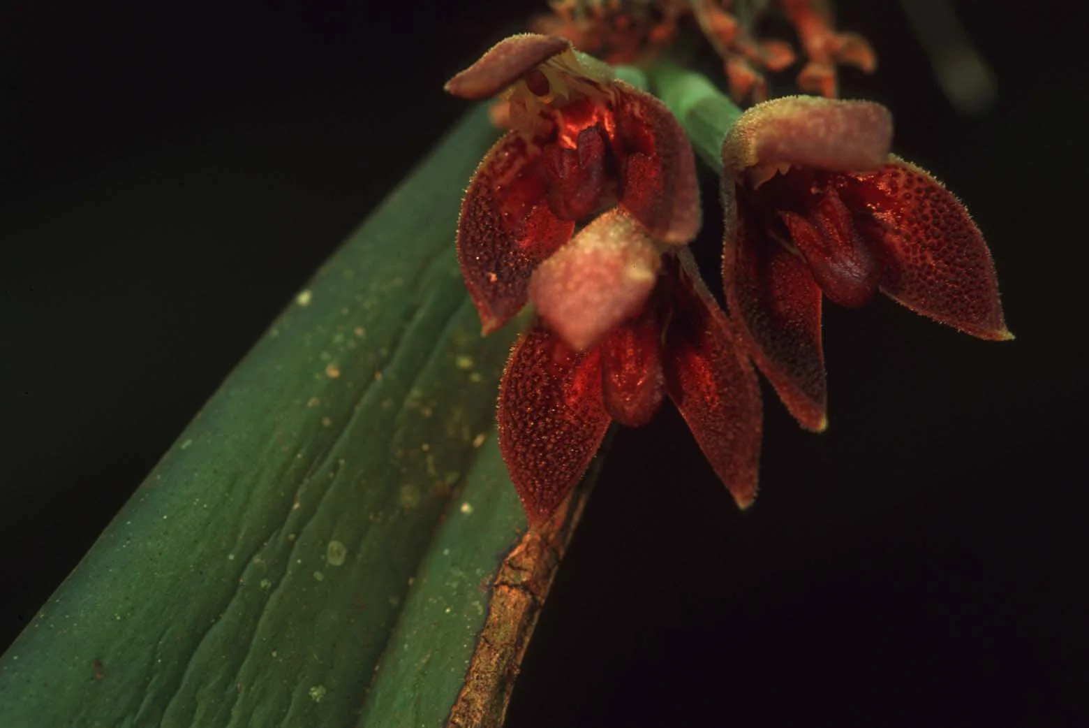 Bilder Andi Refugio 162.jpg