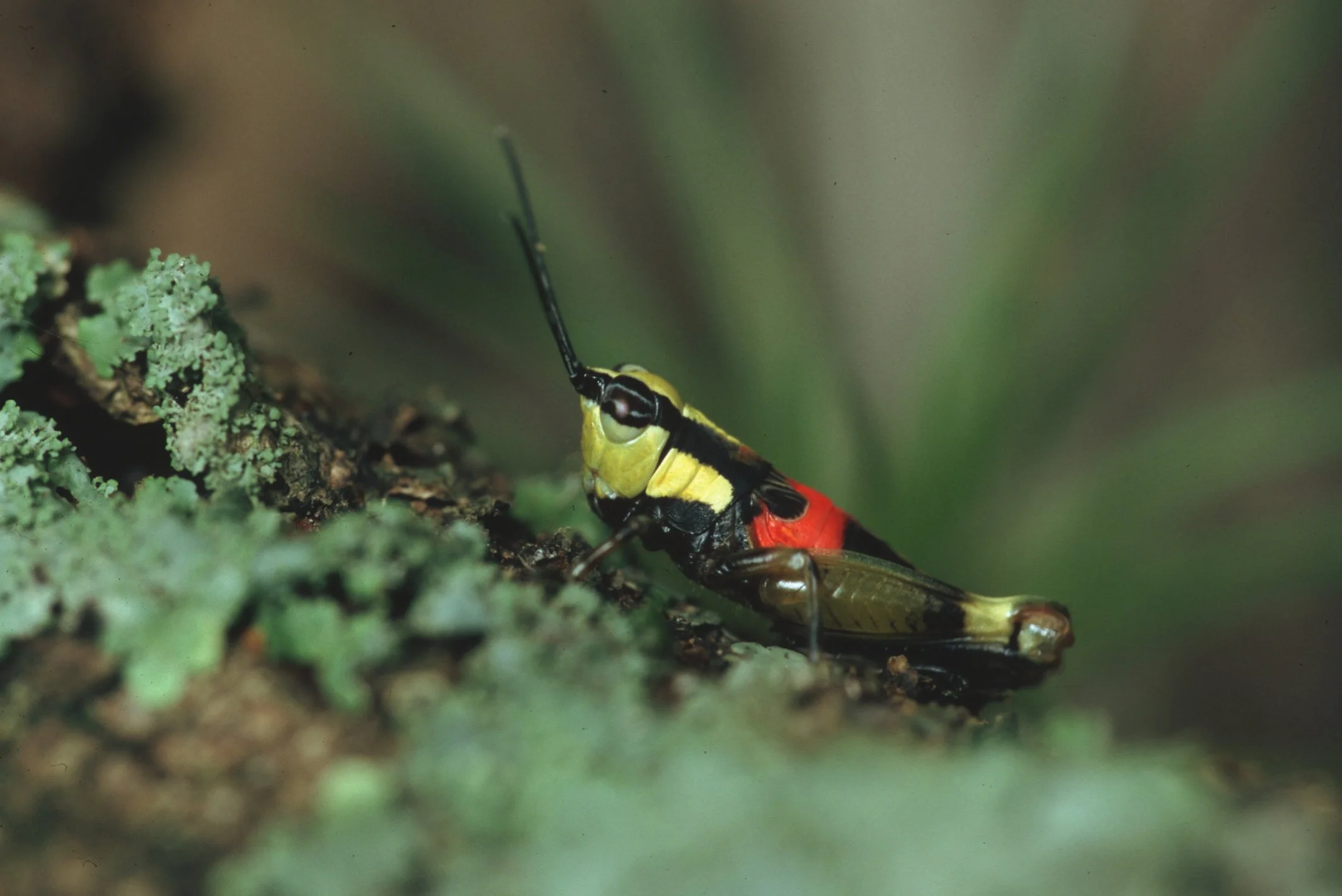 Bilder Andi Refugio 019.jpg