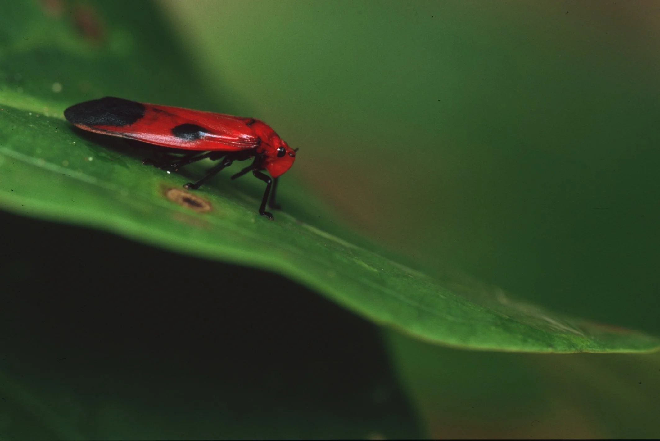 Bilder Andi Refugio 012.jpg