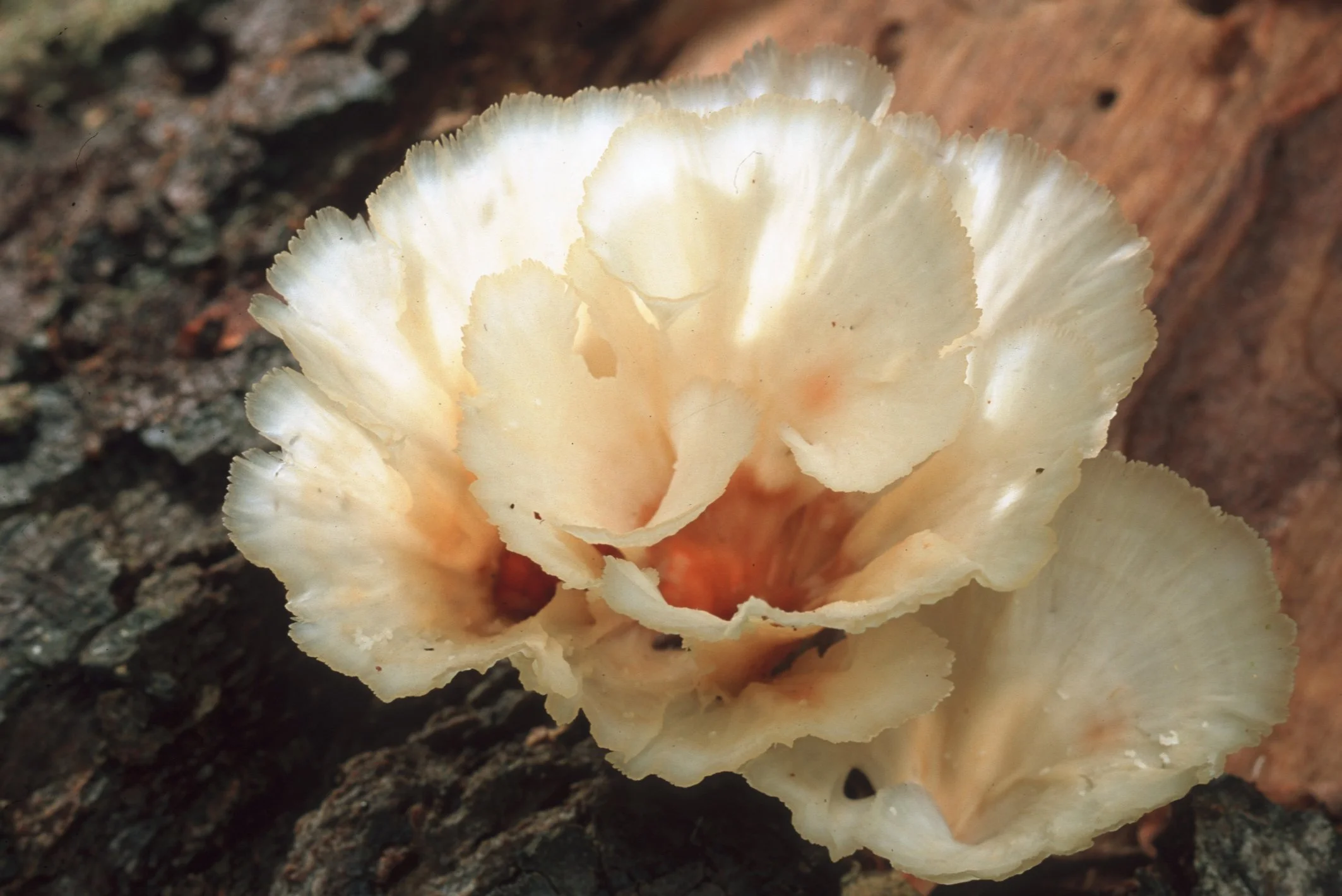 Bilder Andi Refugio 008.jpg