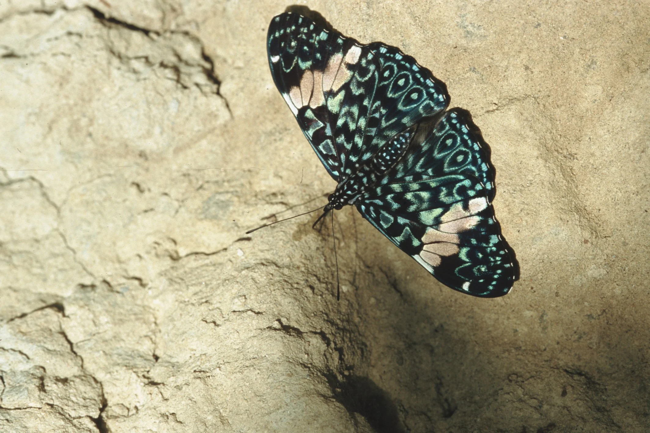 Bilder Andi Refugio 023.jpg