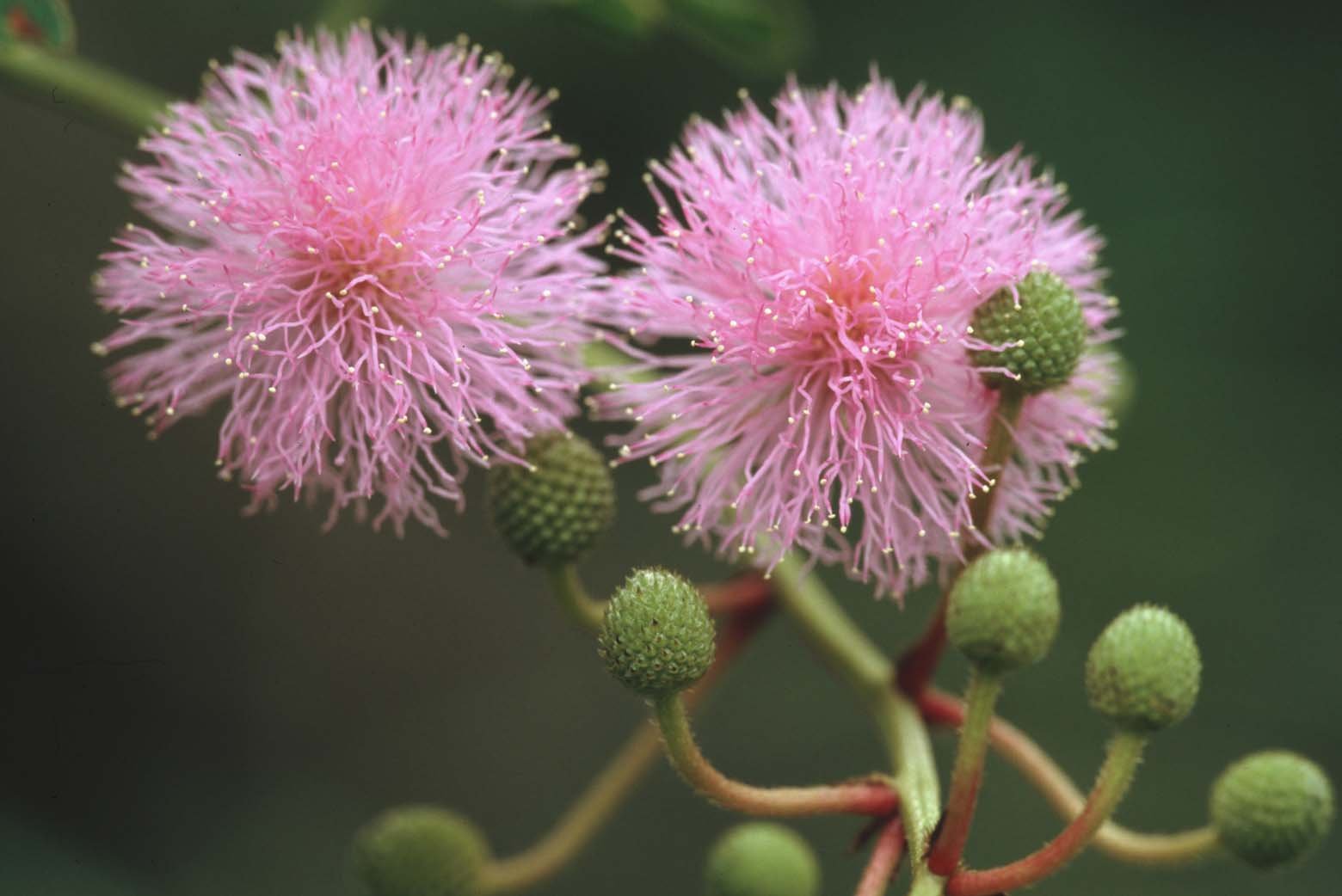 Bilder Andi Refugio 159.jpg