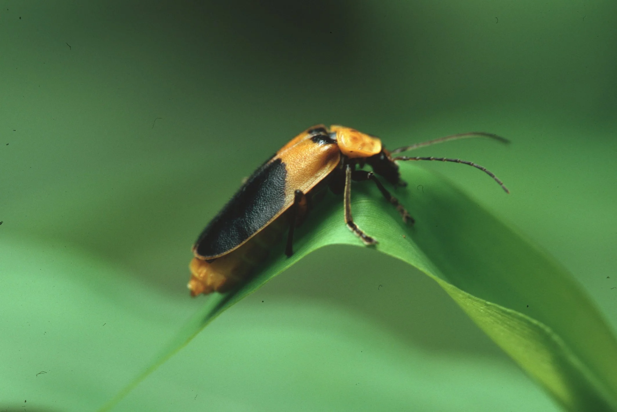 Bilder Andi Refugio 013.jpg