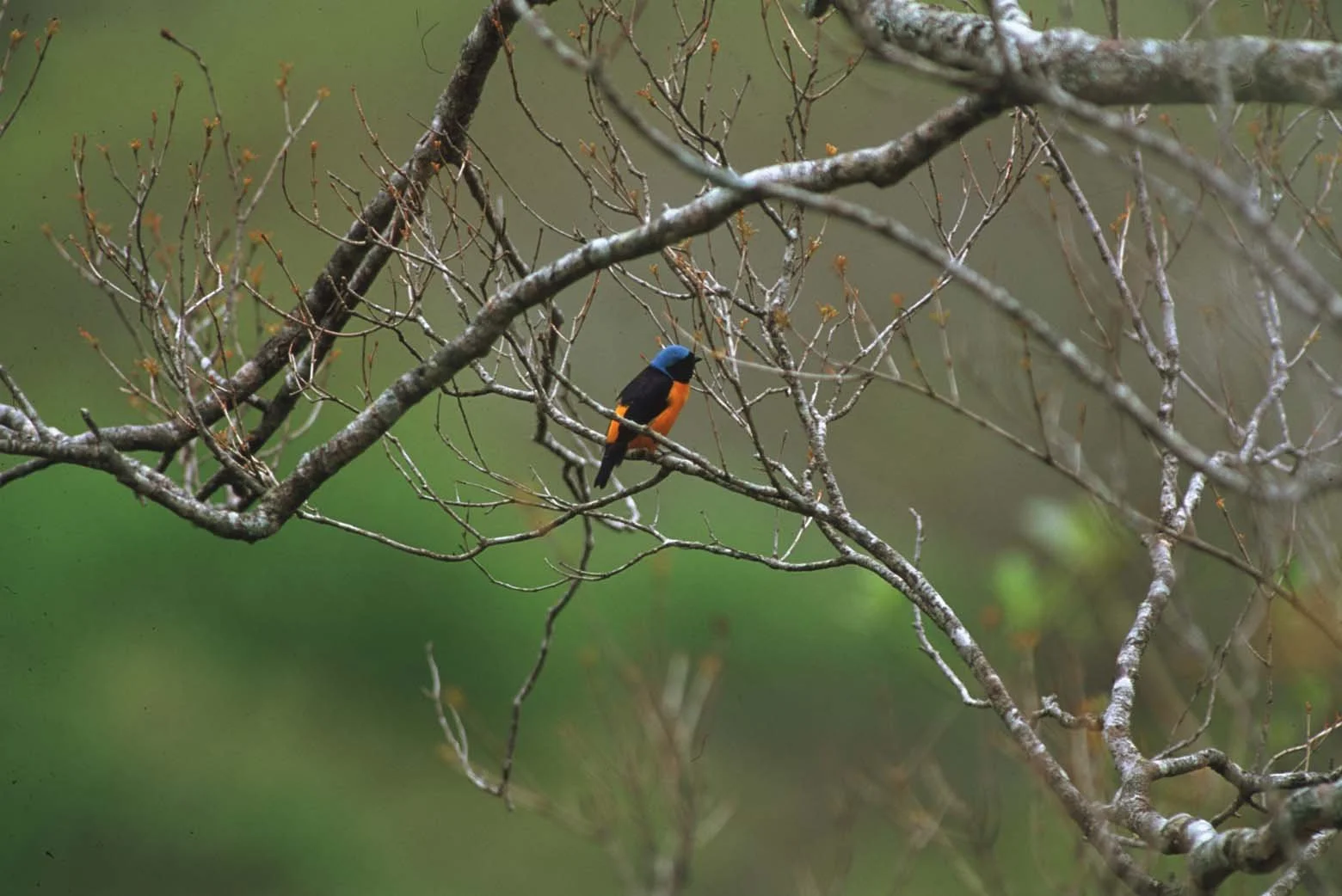 Bilder Andi Refugio 117.jpg