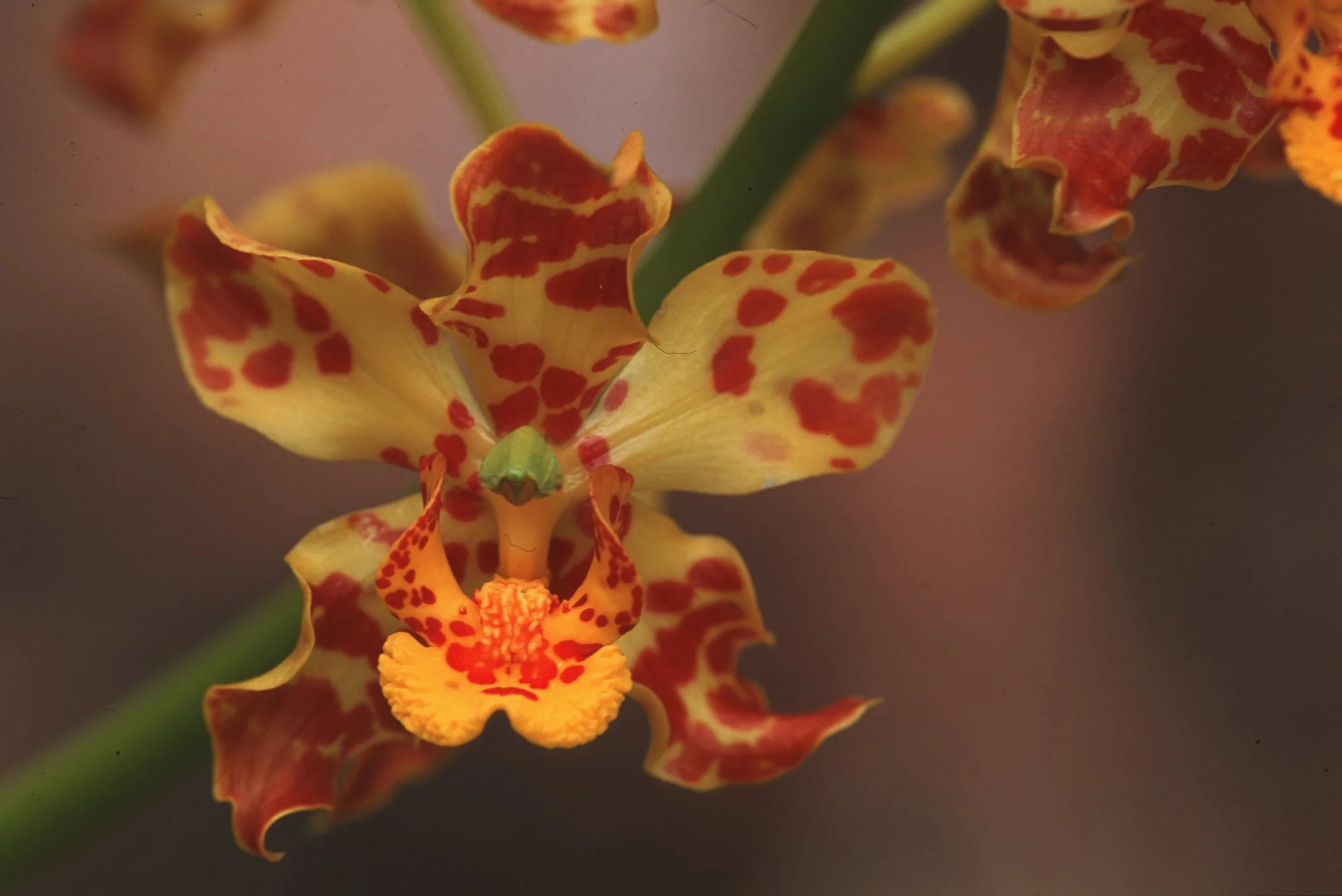 Bilder Andi Refugio 058.jpg