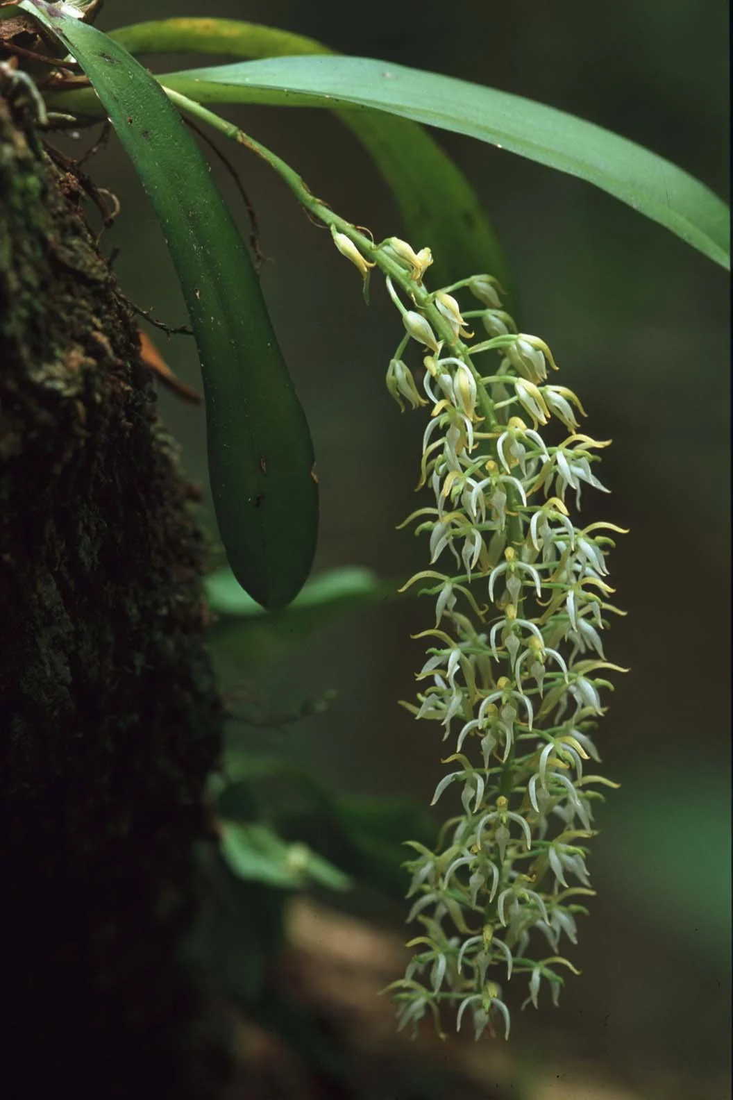 Bilder Andi Refugio 161.jpg