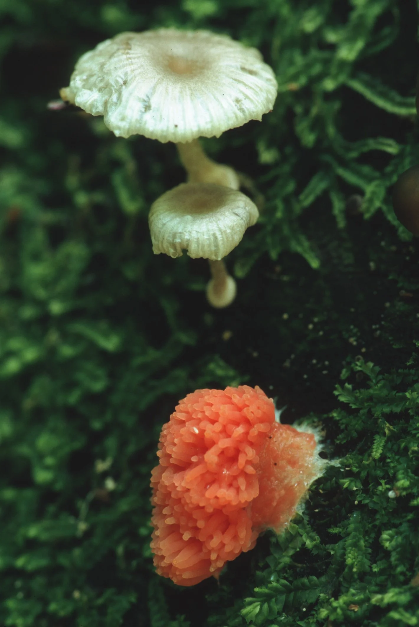 Bilder Andi Refugio 005.jpg