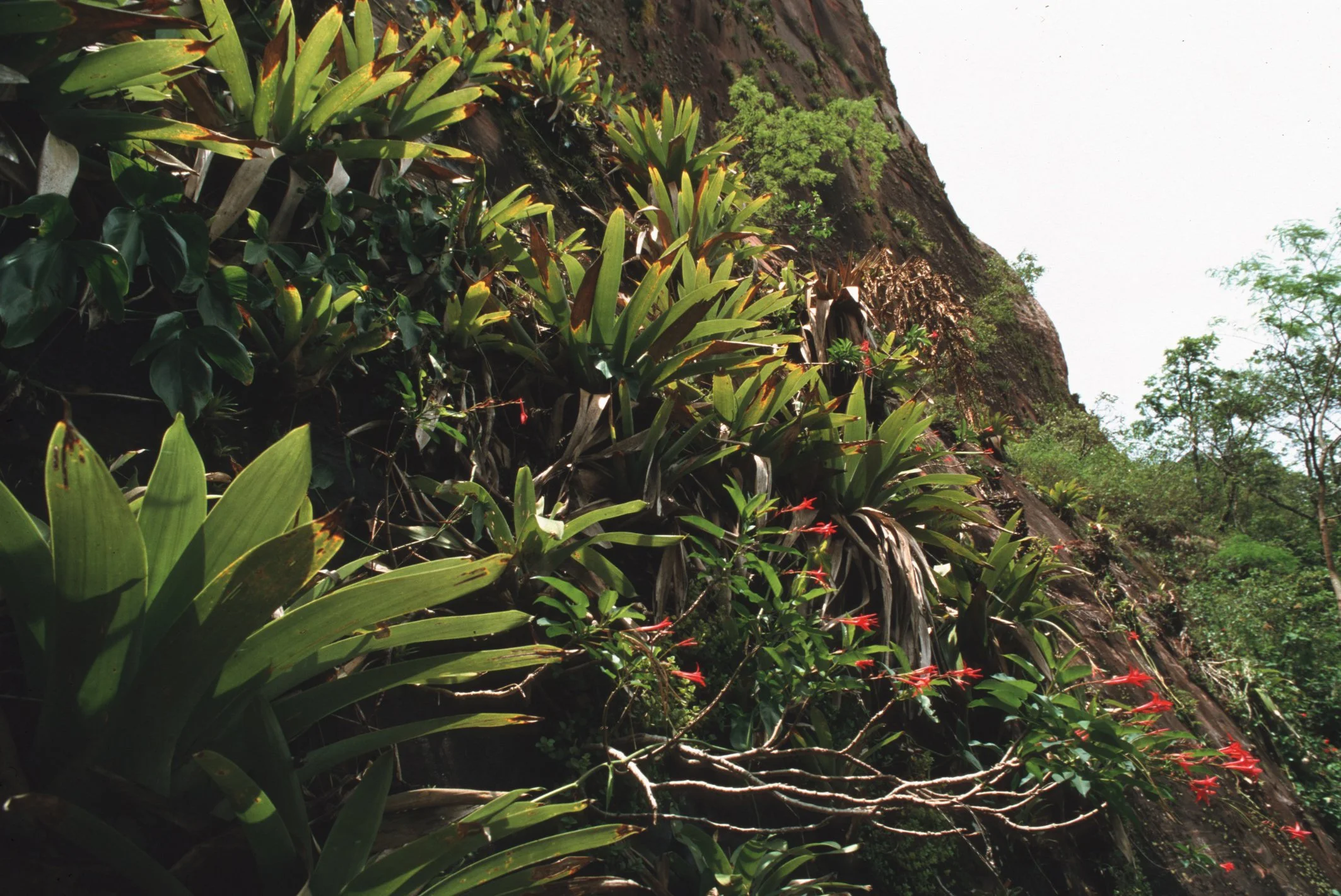 Bilder Andi Refugio 052.jpg