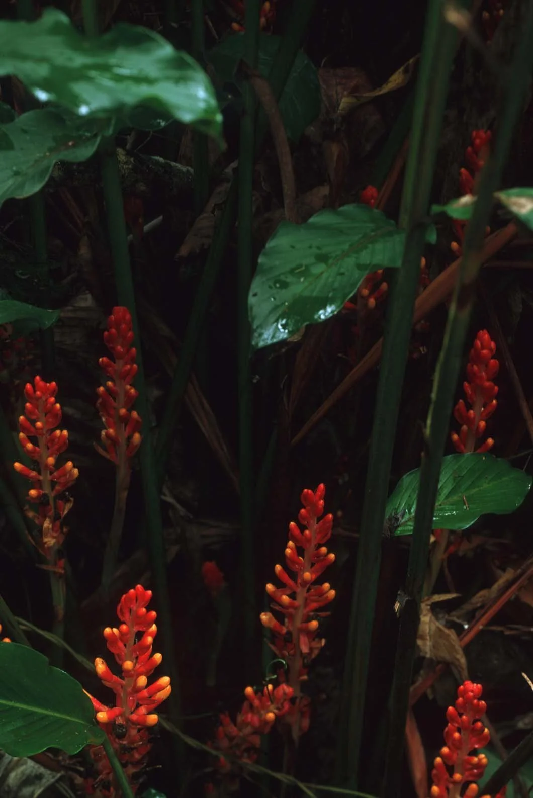 Bilder Andi Refugio 114.jpg