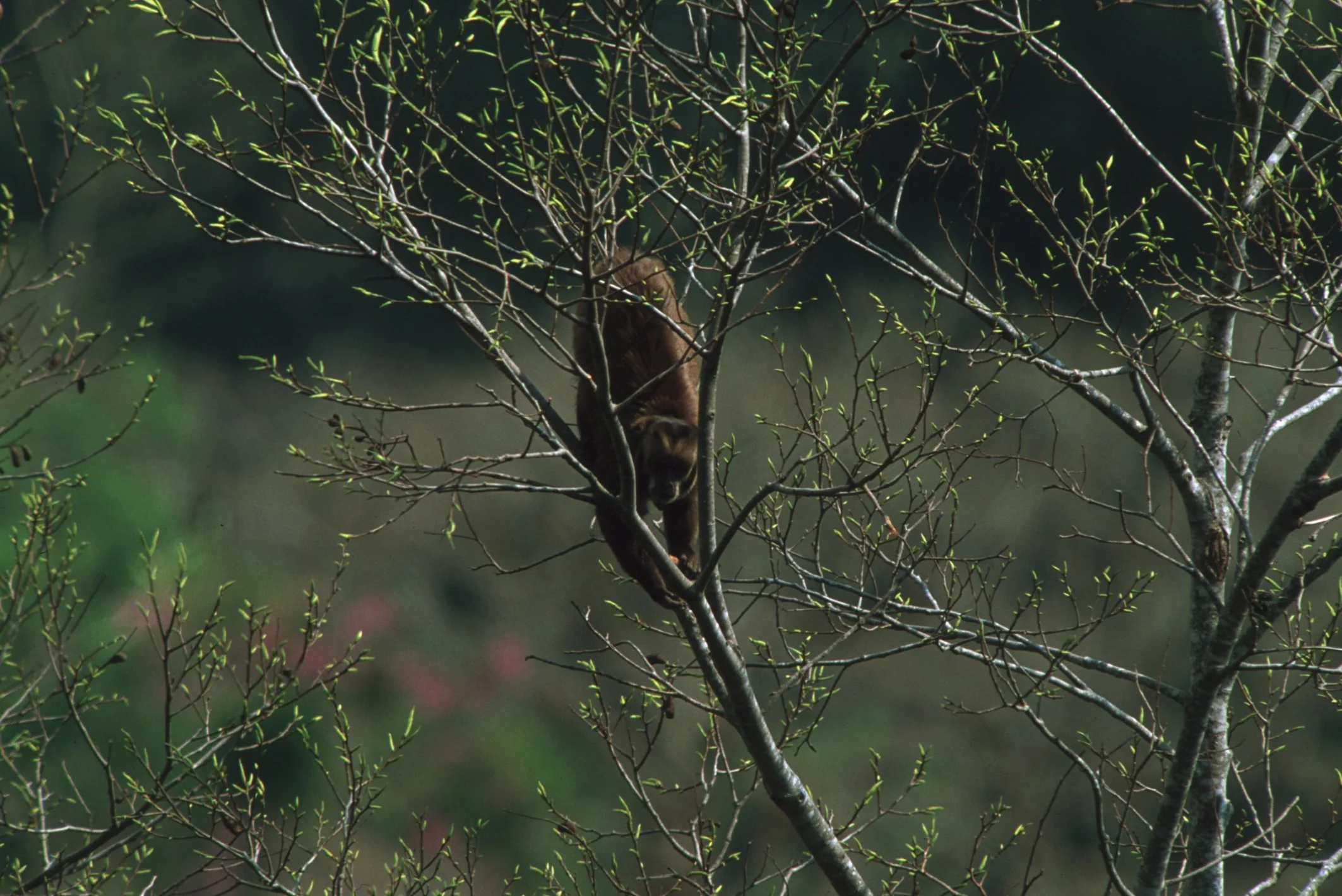 Bilder Andi Refugio 050.jpg