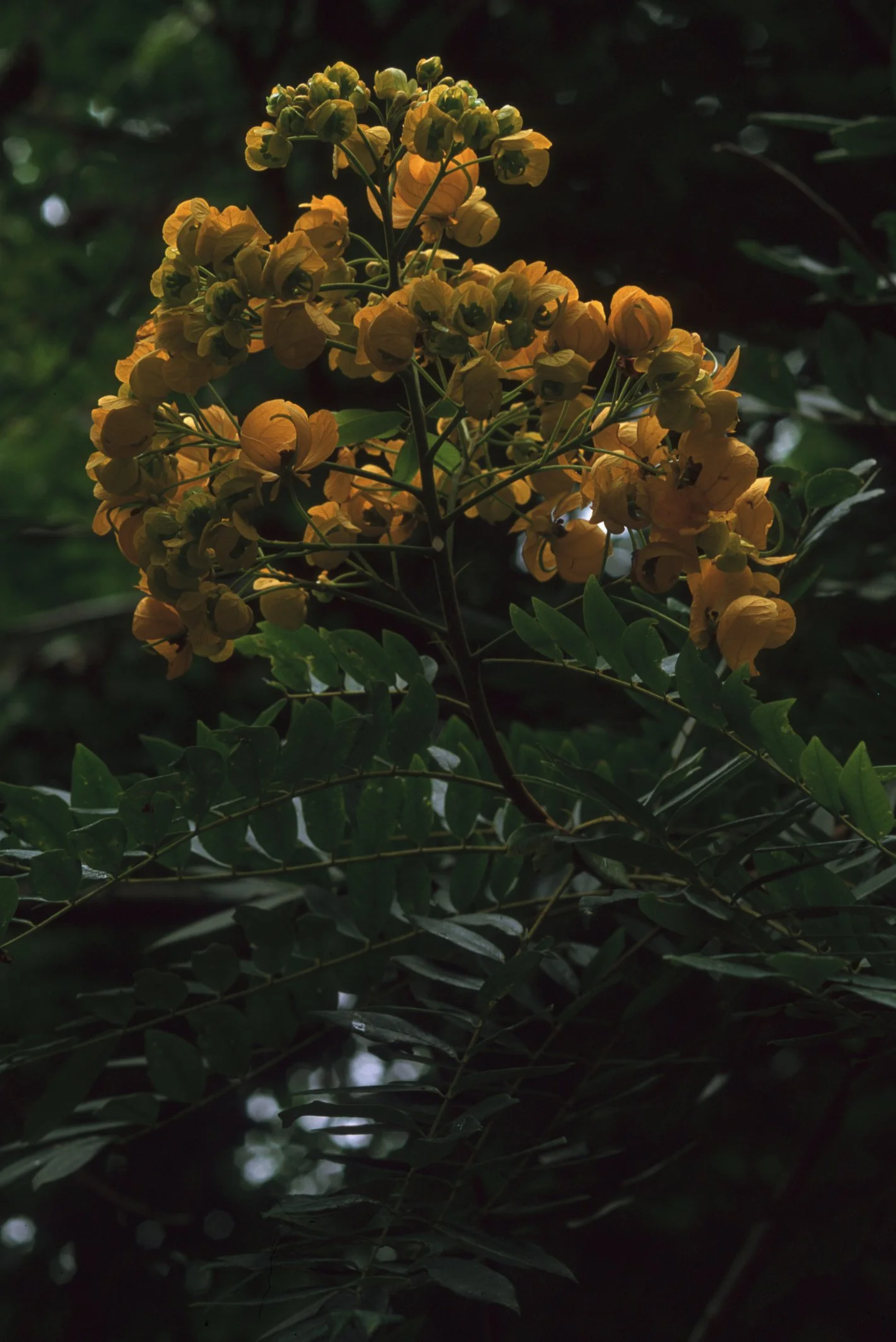 Bilder Andi Refugio 068.jpg