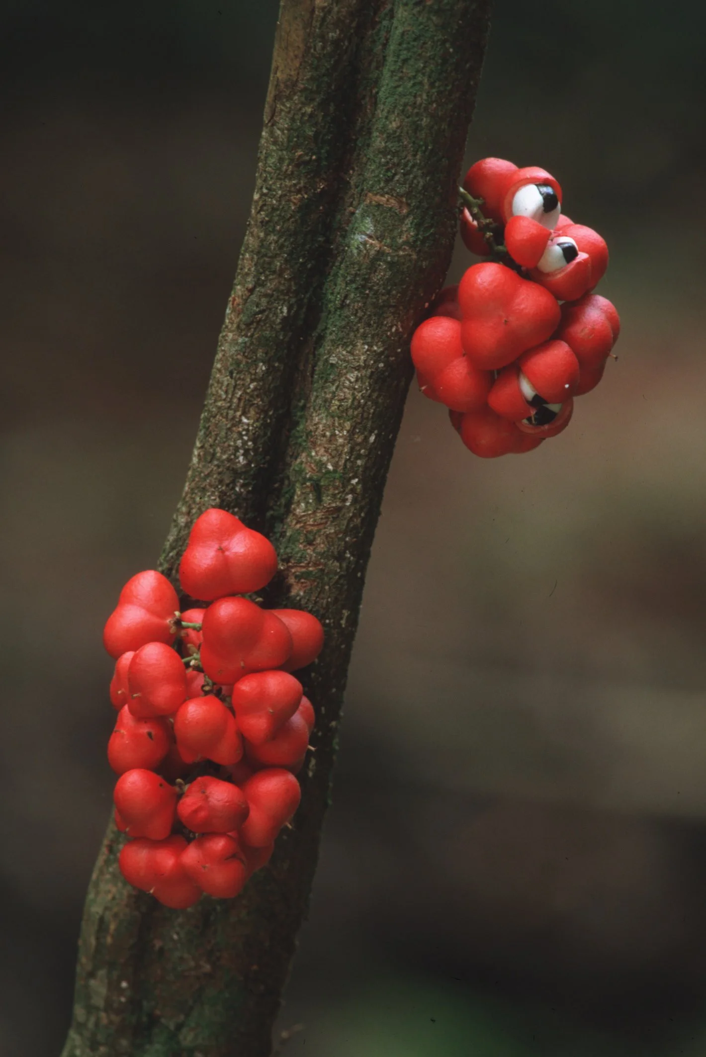 Bilder Andi Refugio 070.jpg