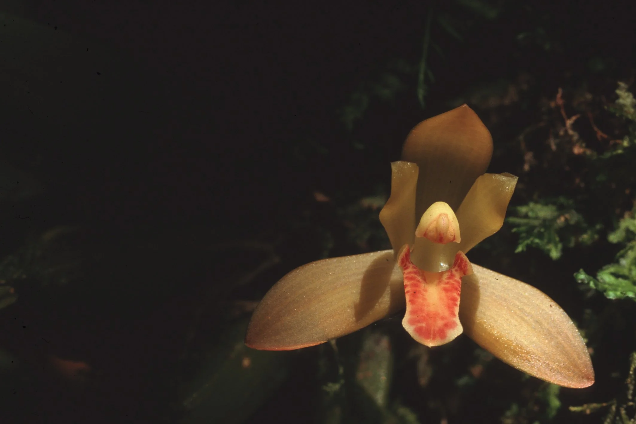 Bilder Andi Refugio 040.jpg