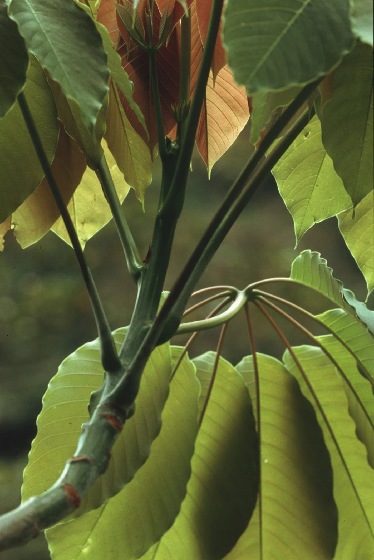 Bilder Andi Refugio 045.jpg