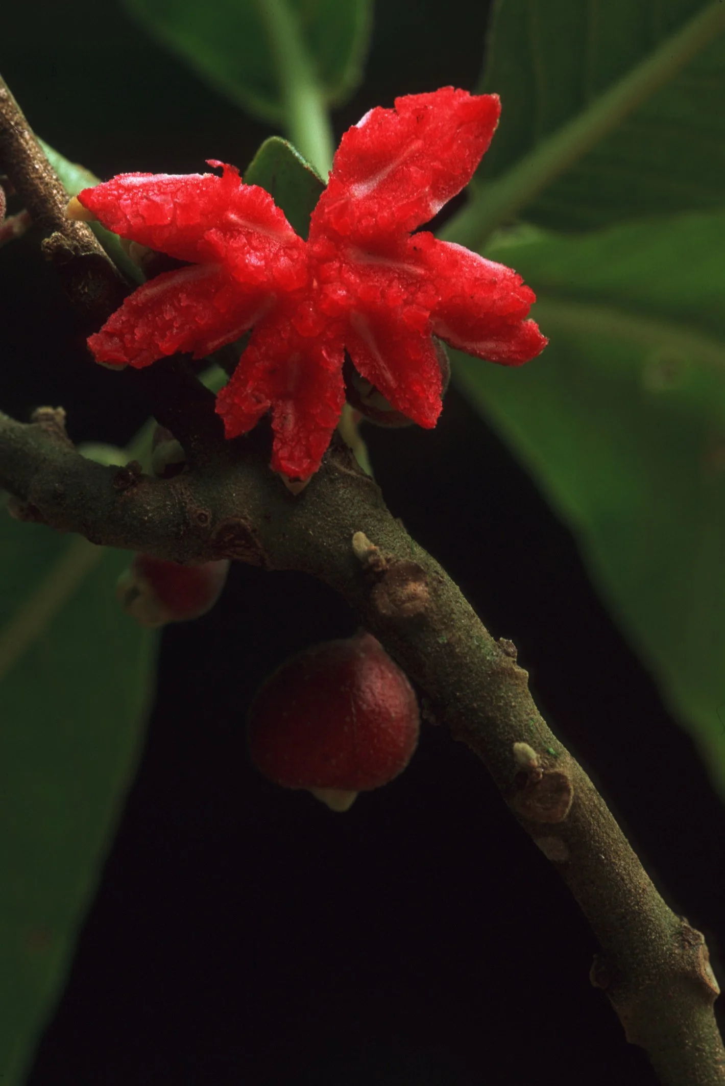 Bilder Andi Refugio 003.jpg