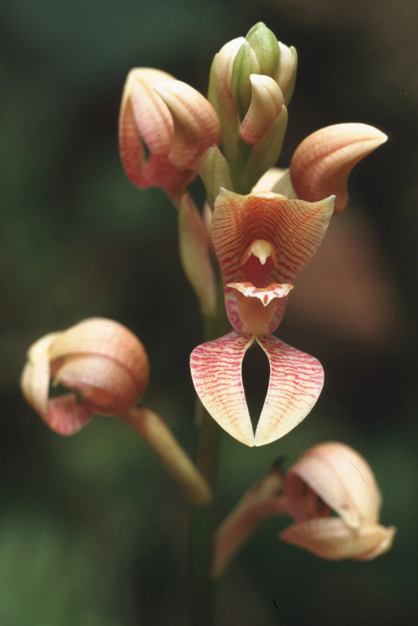 Bilder Andi Refugio 001.jpg