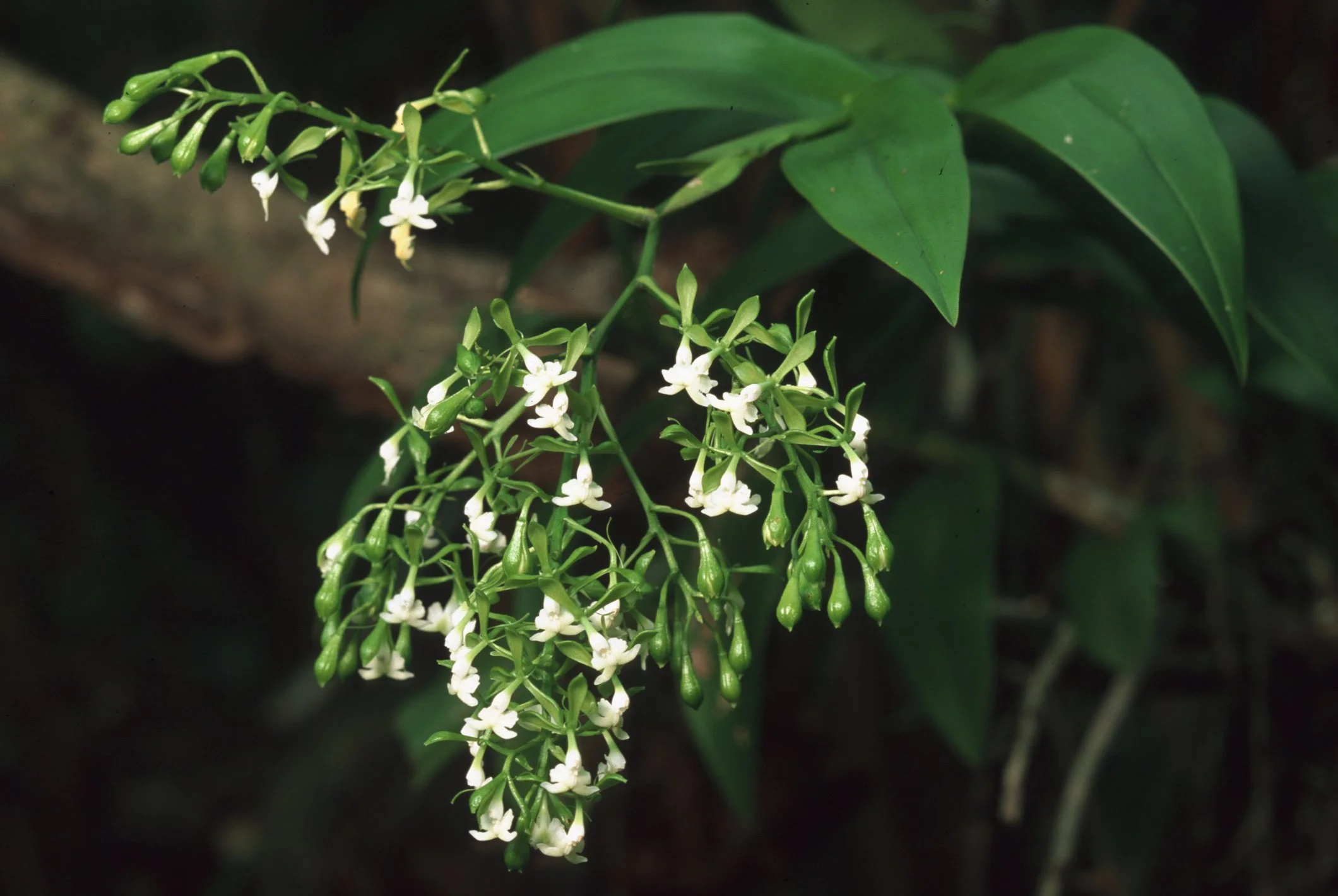 Bilder Andi Refugio 062.jpg