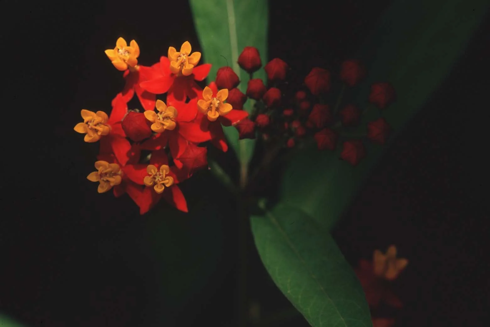 Bilder Andi Refugio 115.jpg