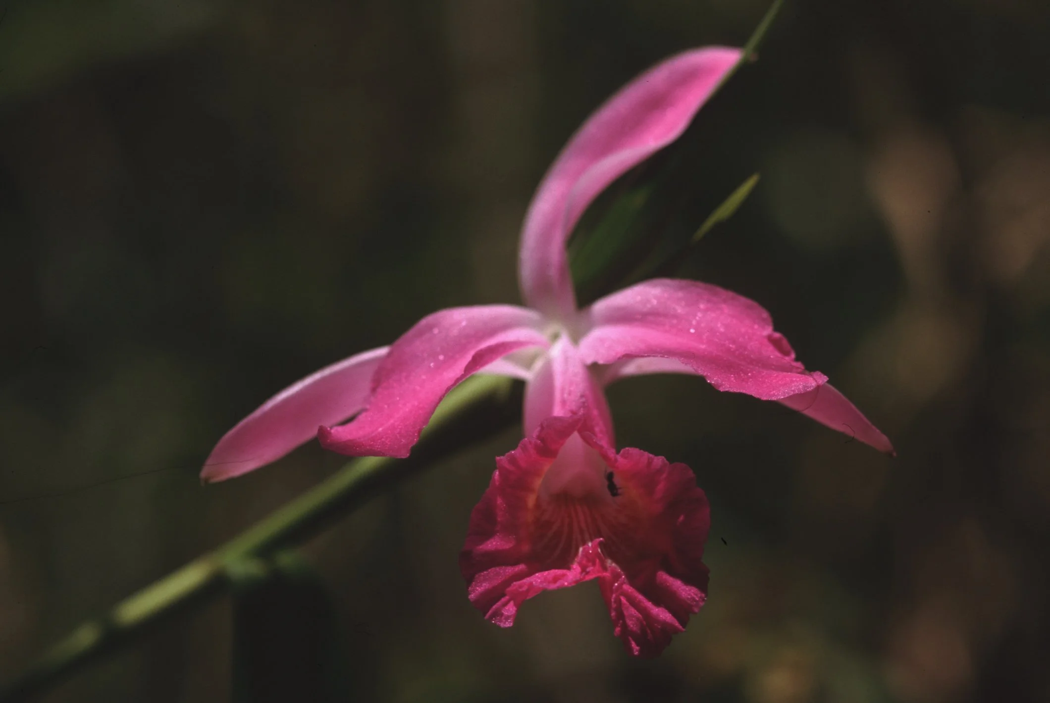 Bilder Andi Refugio 057.jpg