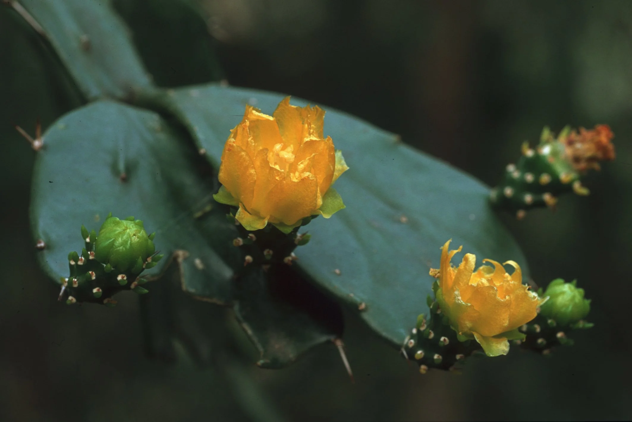 Bilder Andi Refugio 065.jpg