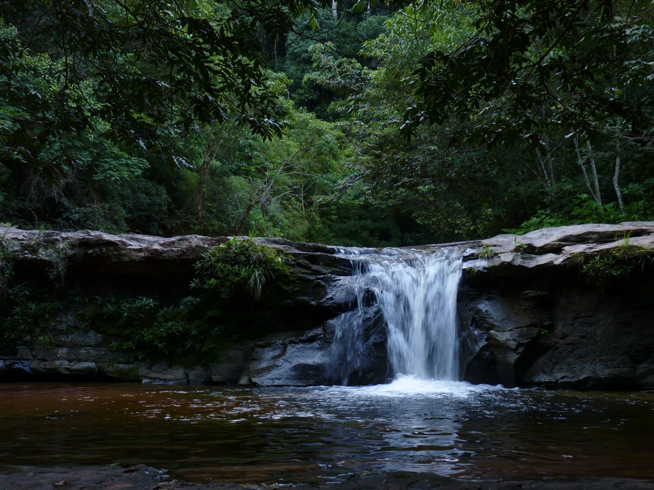 Kleiner Wasserfall in einem grünen Wald, Wasser fließt über Felsen in einen dünnen Fluss, umgeben von Bäumen und Laub.