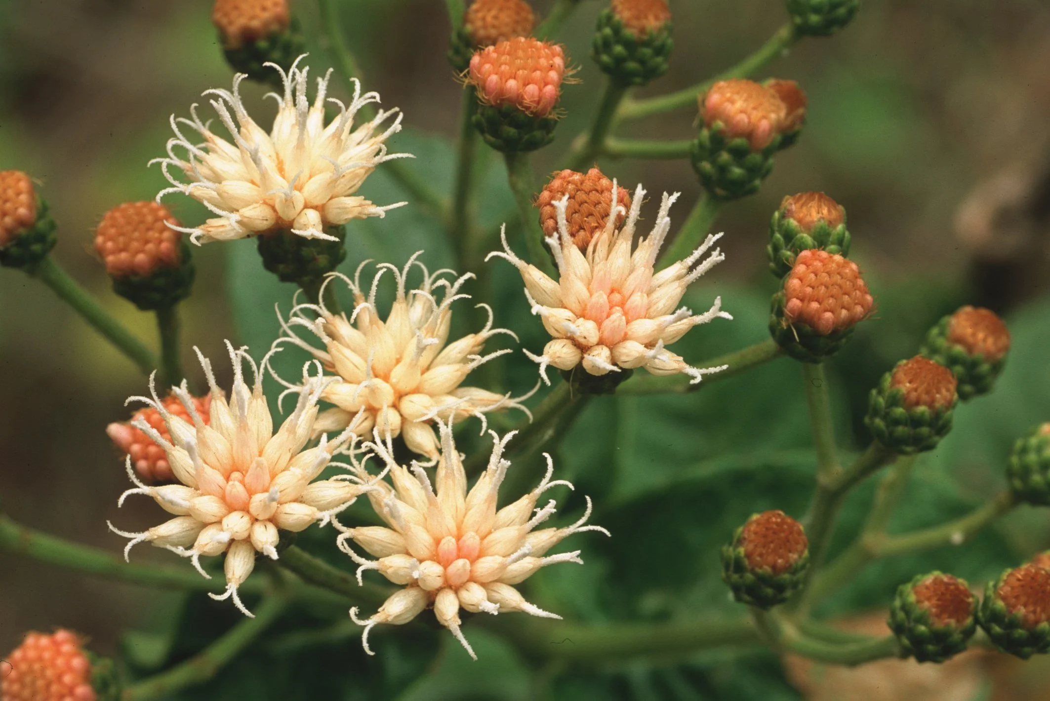 Bilder Andi Refugio 056.jpg