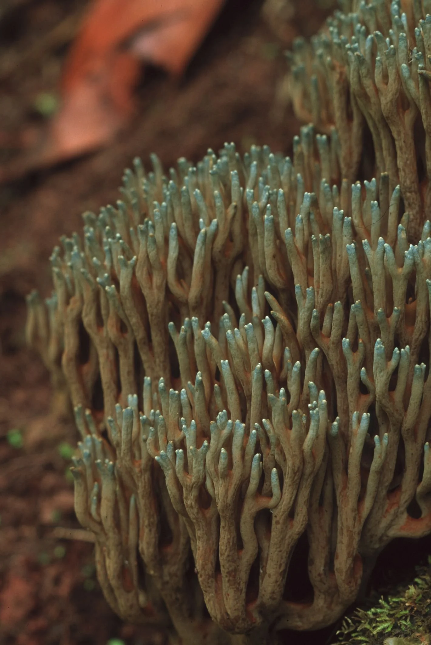 Bilder Andi Refugio 007.jpg