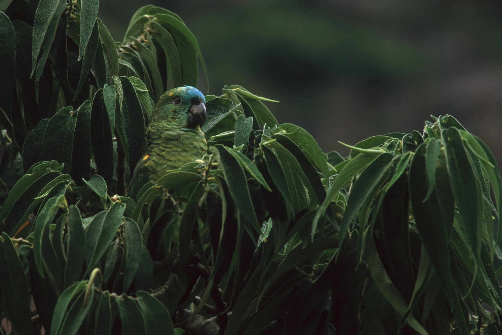 Bilder Andi Refugio 049.jpg