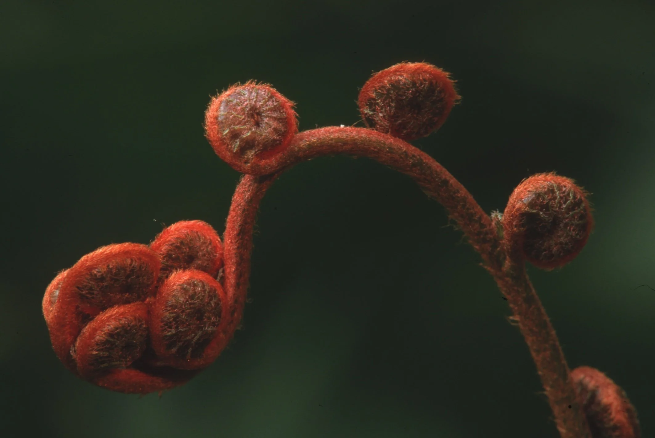 Bilder Andi Refugio 042.jpg