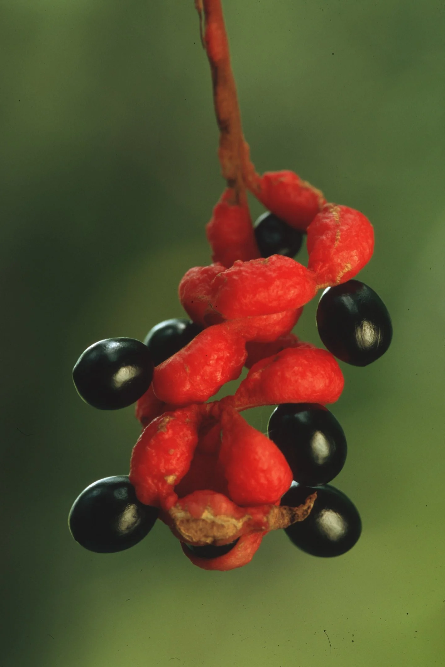 Bilder Andi Refugio 009.jpg