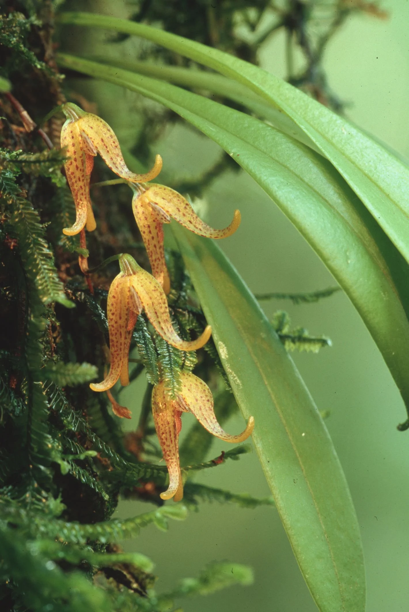 Bilder Andi Refugio 041.jpg