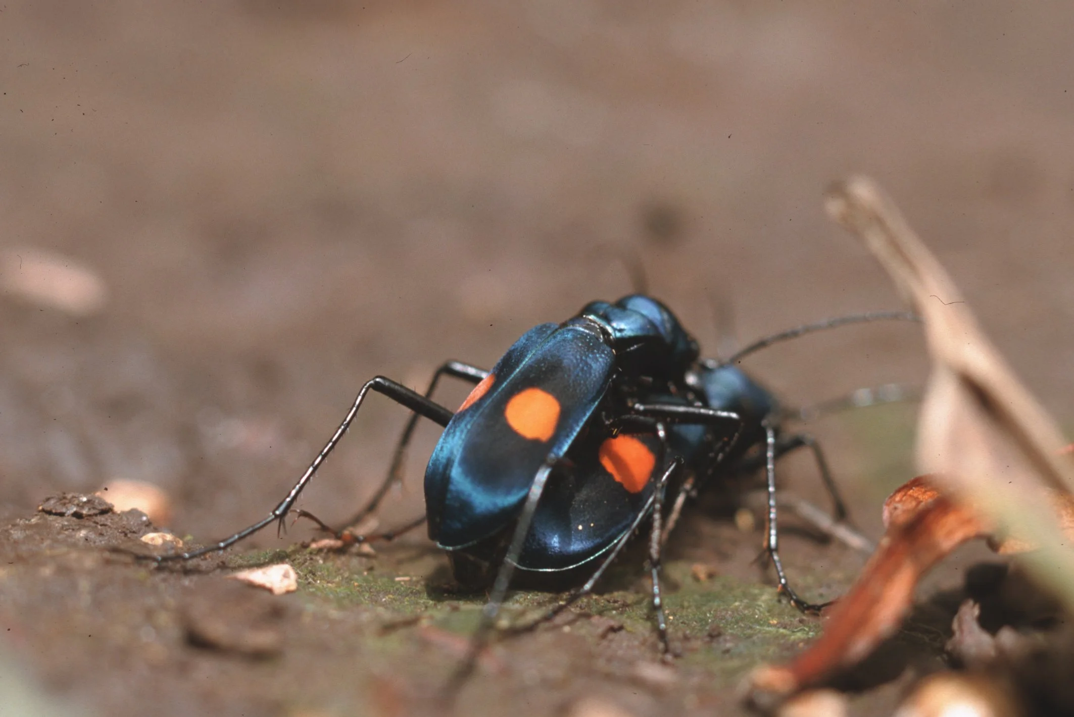 Bilder Andi Refugio 011.jpg