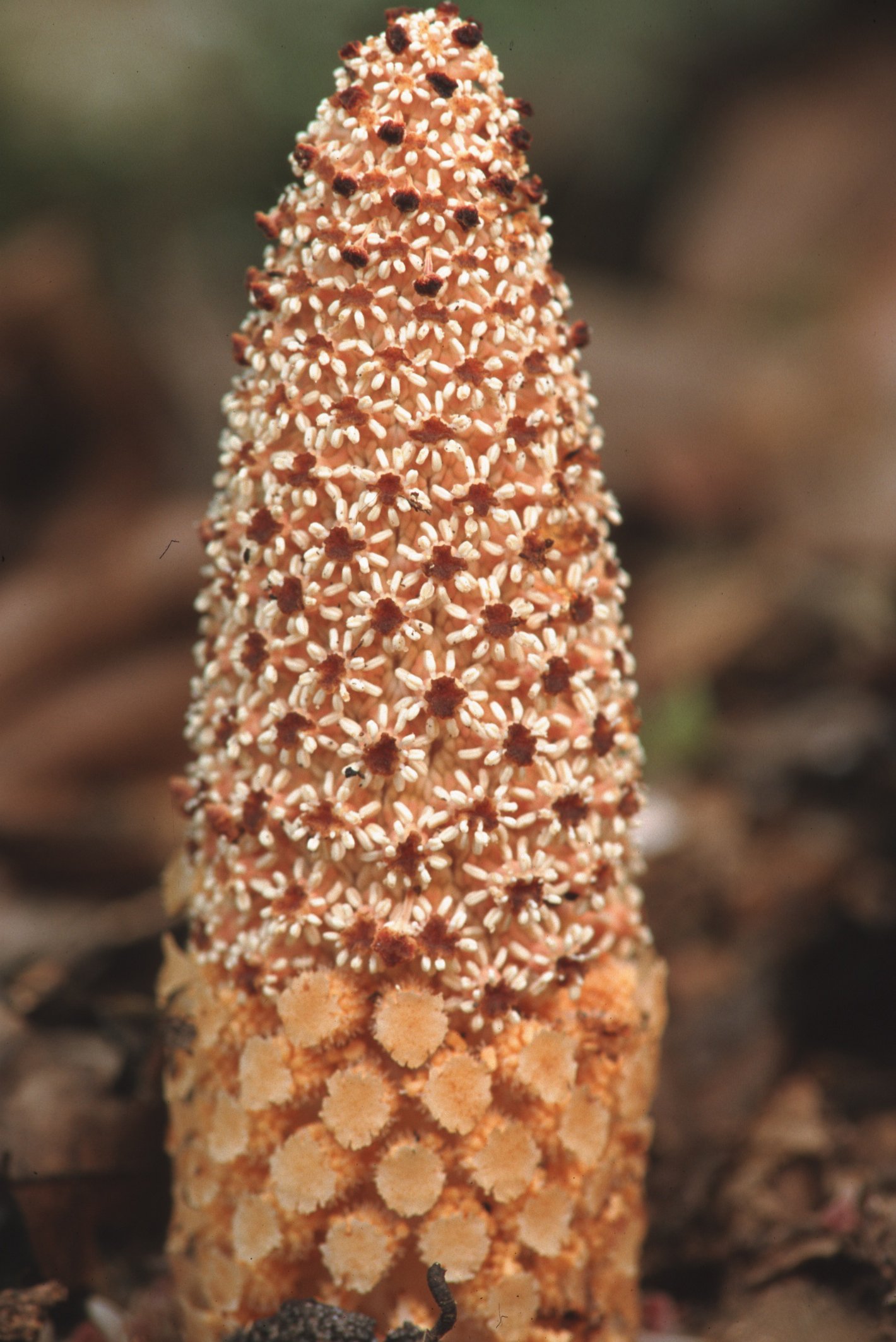 Bilder Andi Refugio 073.jpg