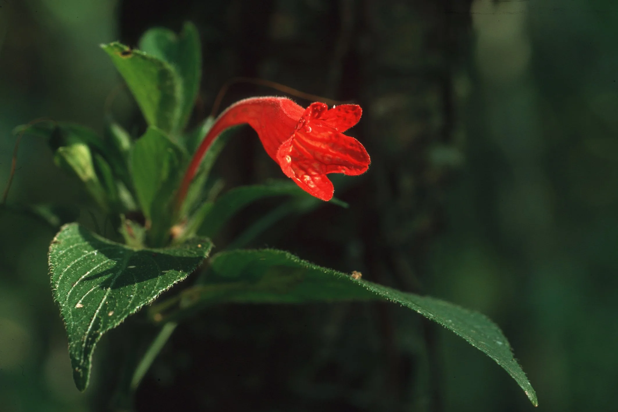 Bilder Andi Refugio 072.jpg