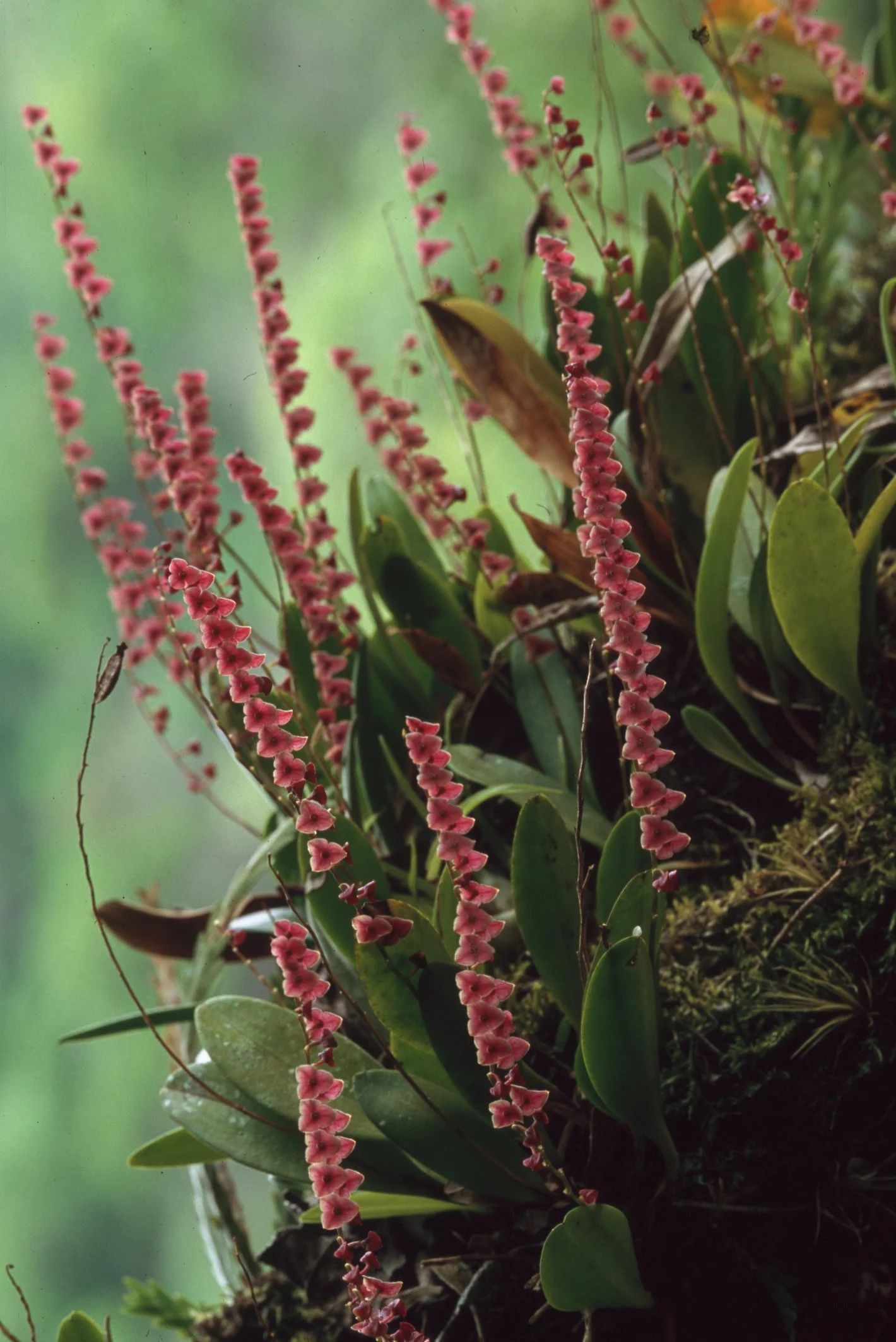 Bilder Andi Refugio 060.jpg