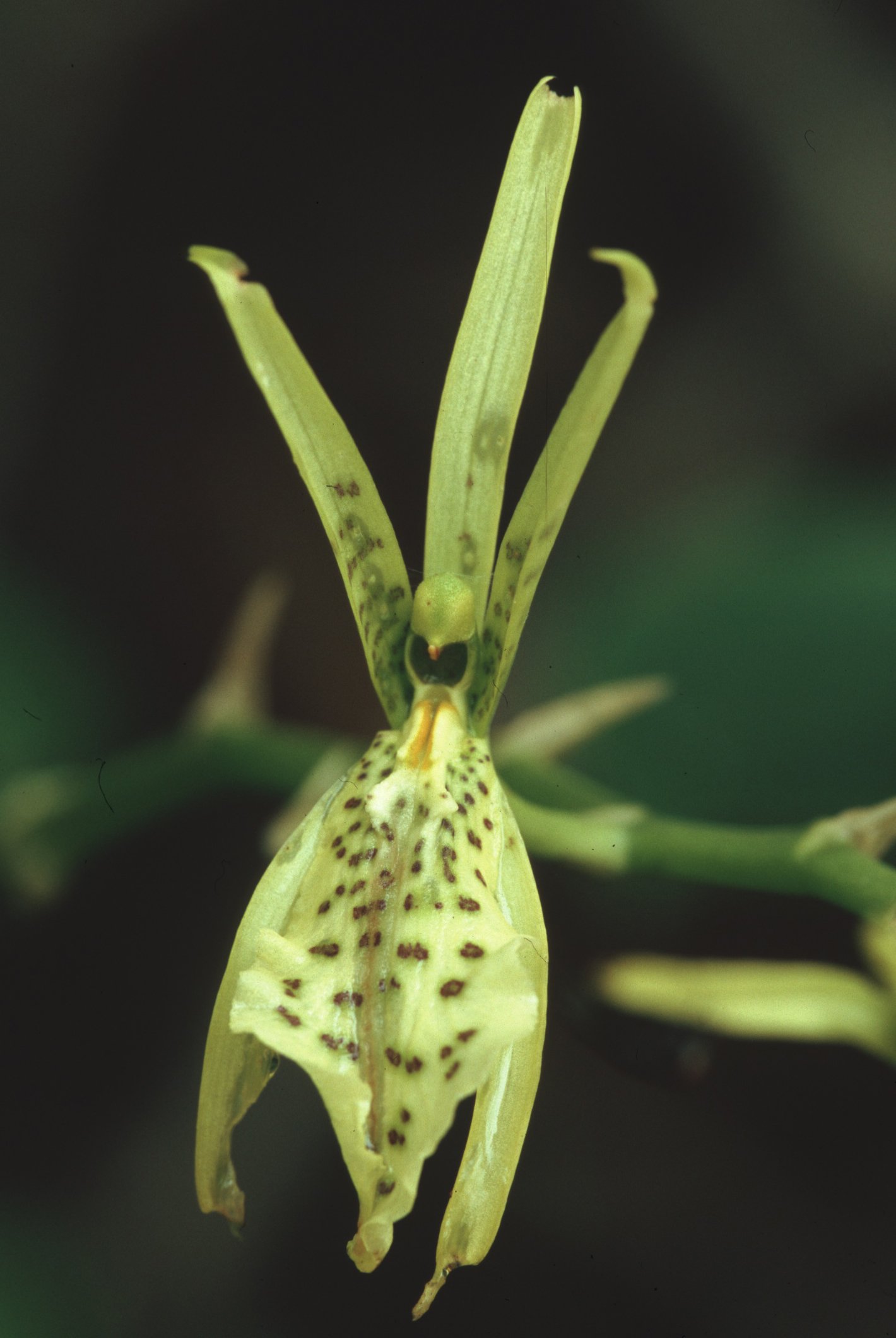 Bilder Andi Refugio 054.jpg