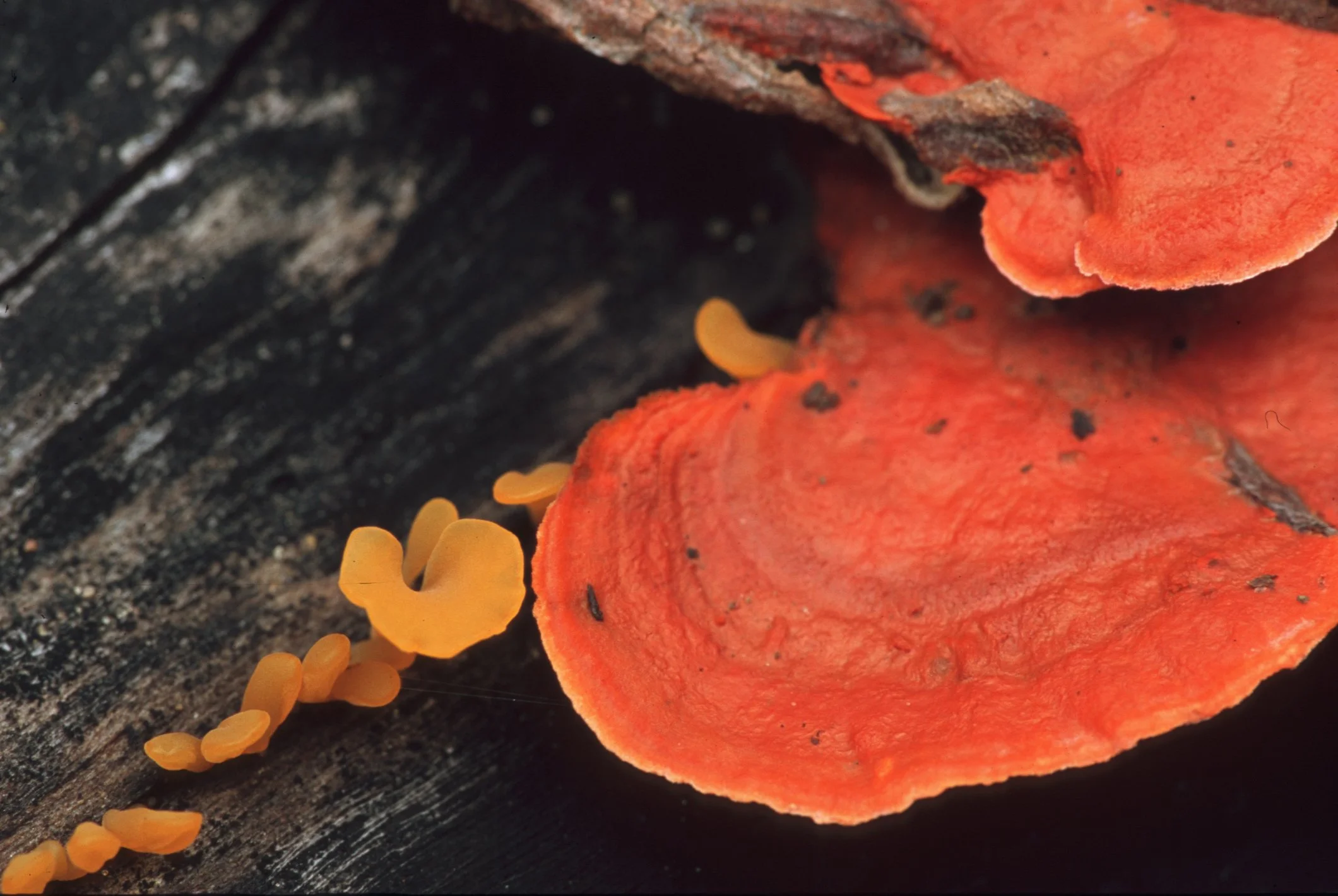 Bilder Andi Refugio 006.jpg