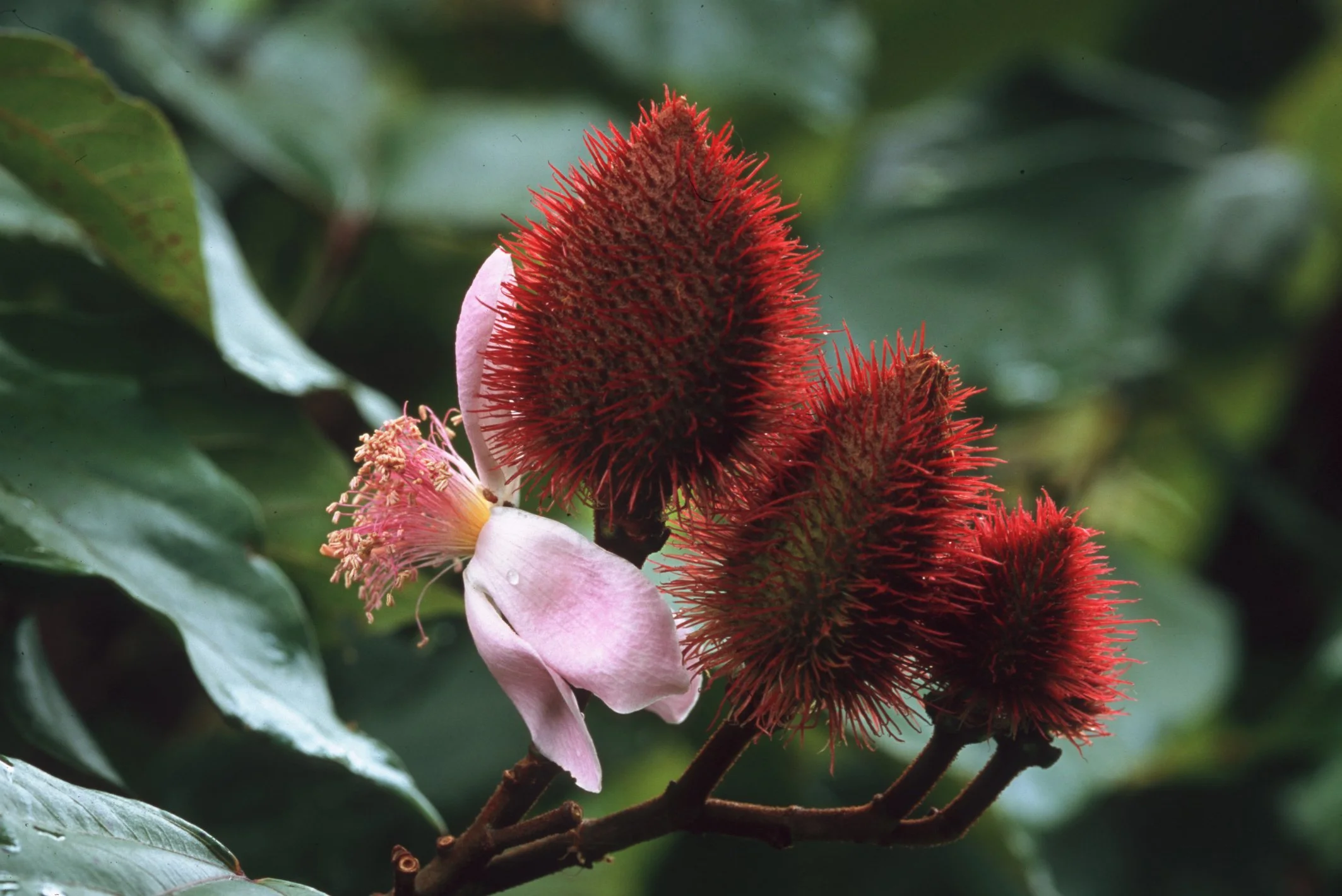 Bilder Andi Refugio 002.jpg