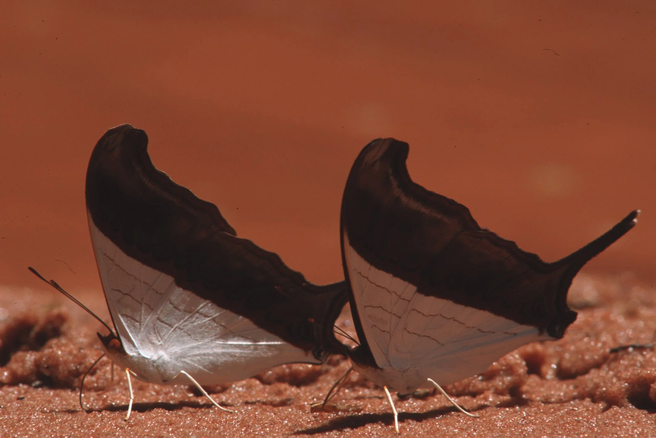 Bilder Andi Refugio 021.jpg