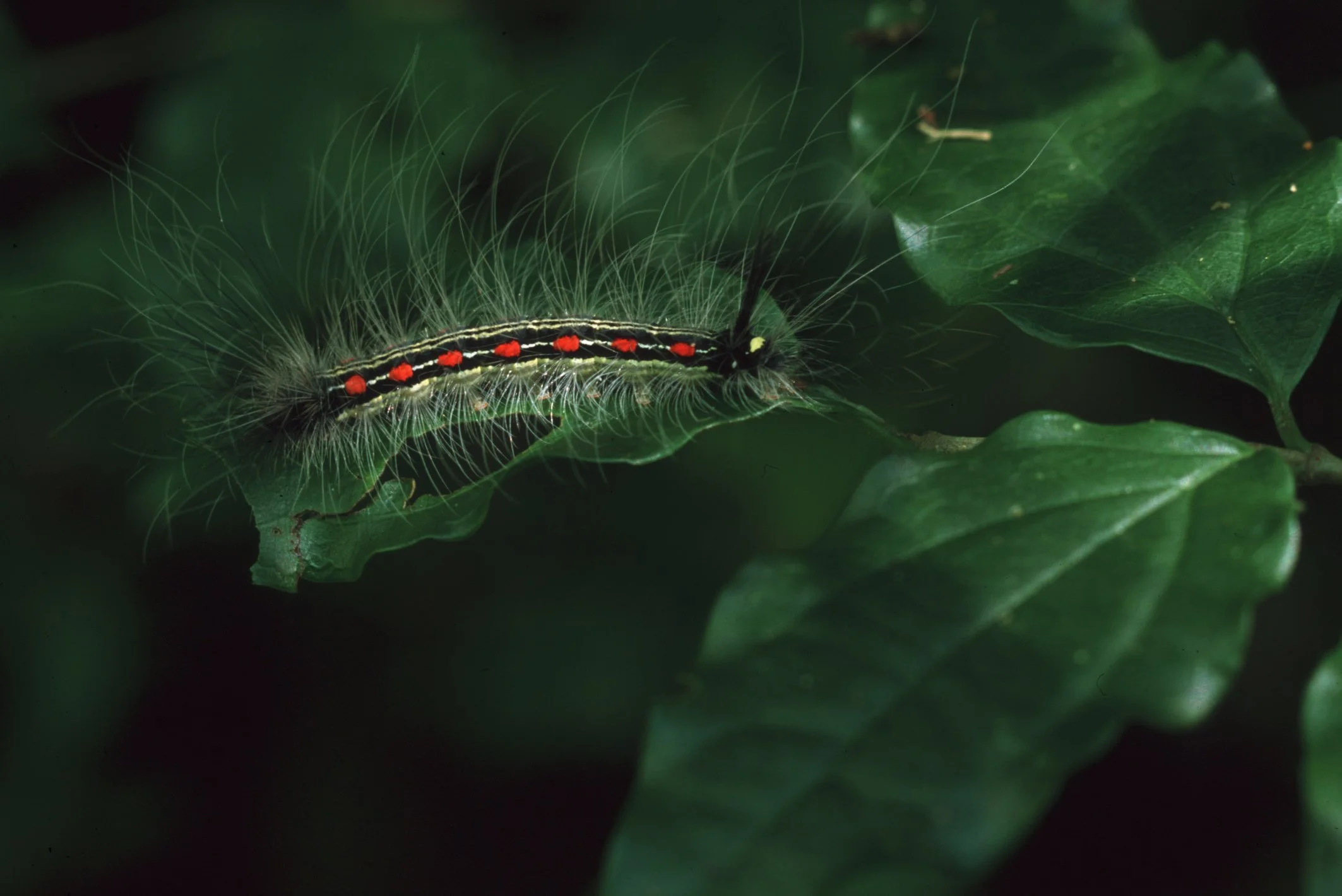 Bilder Andi Refugio 026.jpg